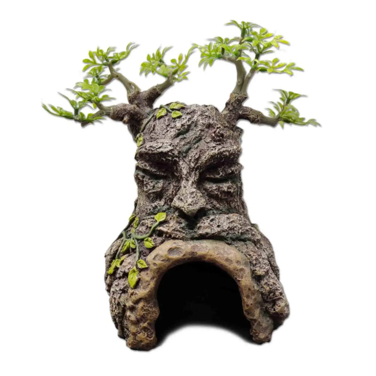 Old Tree Hide URS