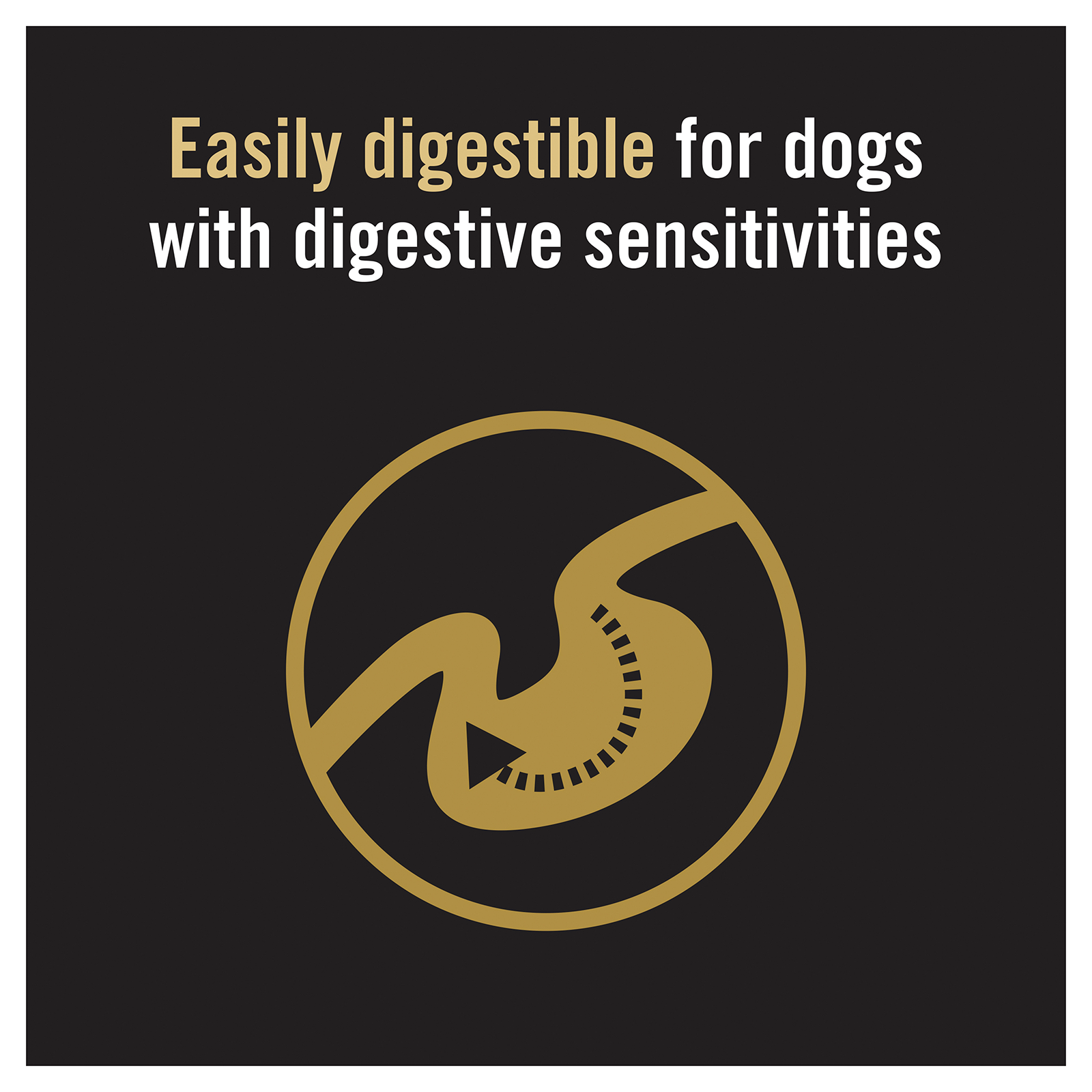 Pro Plan Dog Food Adult Sensitive Digestion Lamb