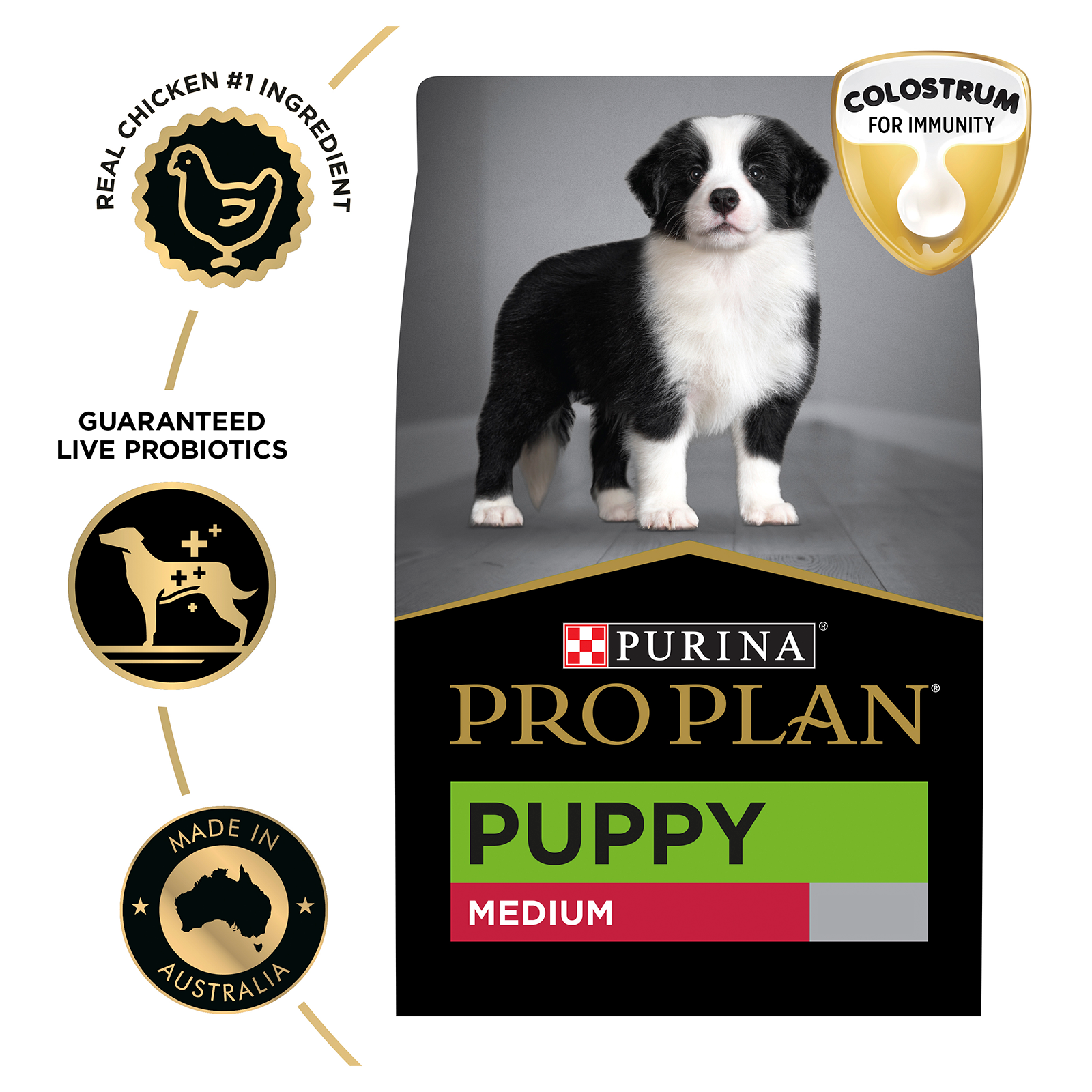 Pro Plan Dog Food Puppy Medium Breed Chicken