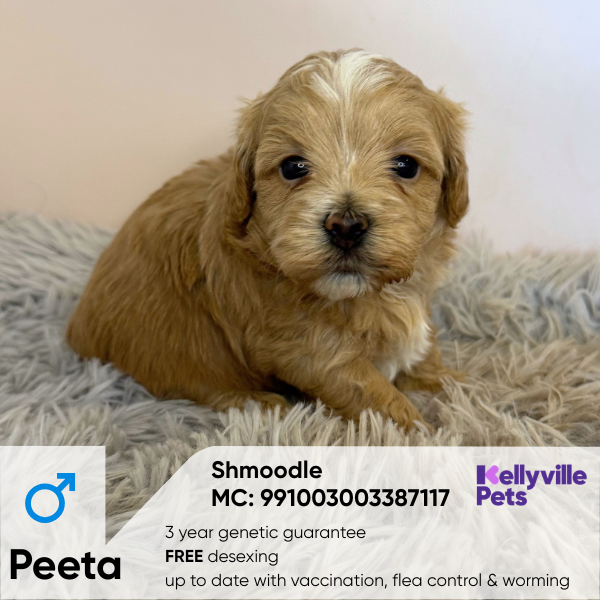 Peeta