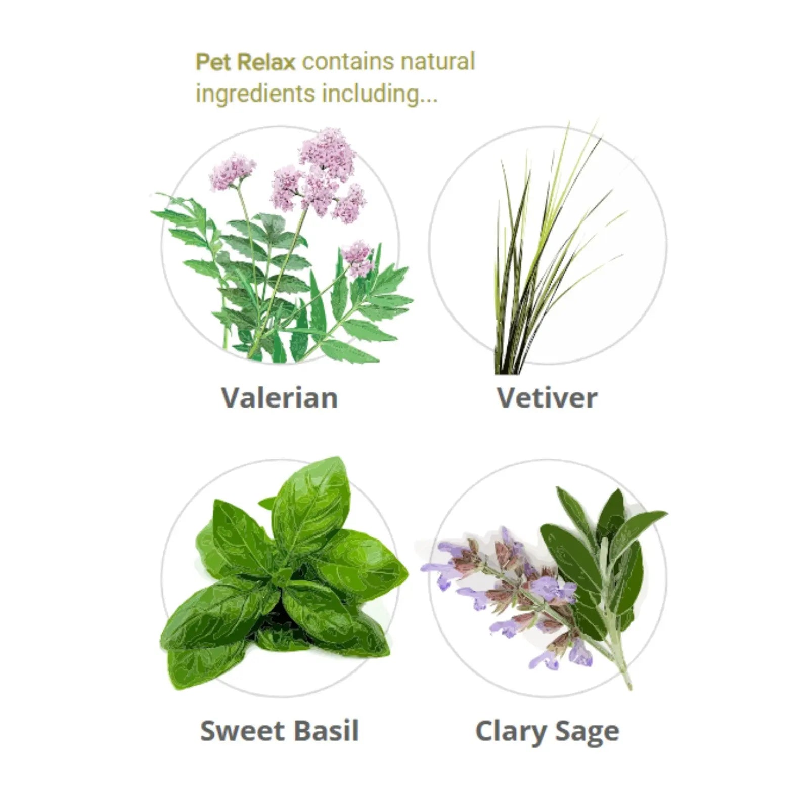 Pet Relax Diffuser Refill 2 x 40ml Pet Relax