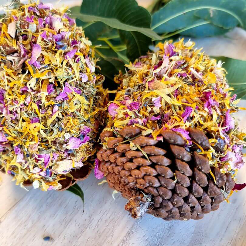 Raw for Birds Floral Pinecone Chews