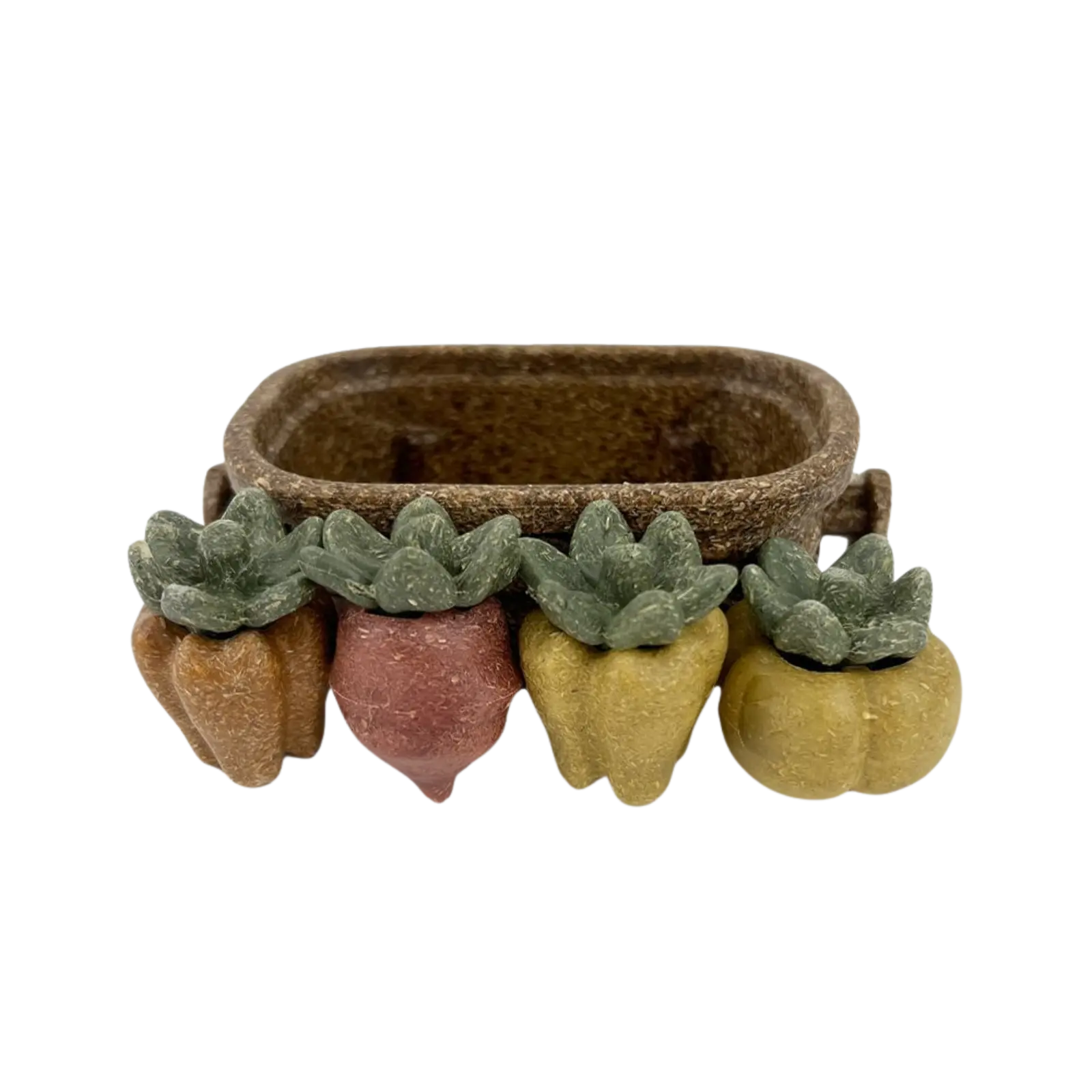 Pipsqueak Forage Delites Edible Garden Harvest Basket PipSqueak