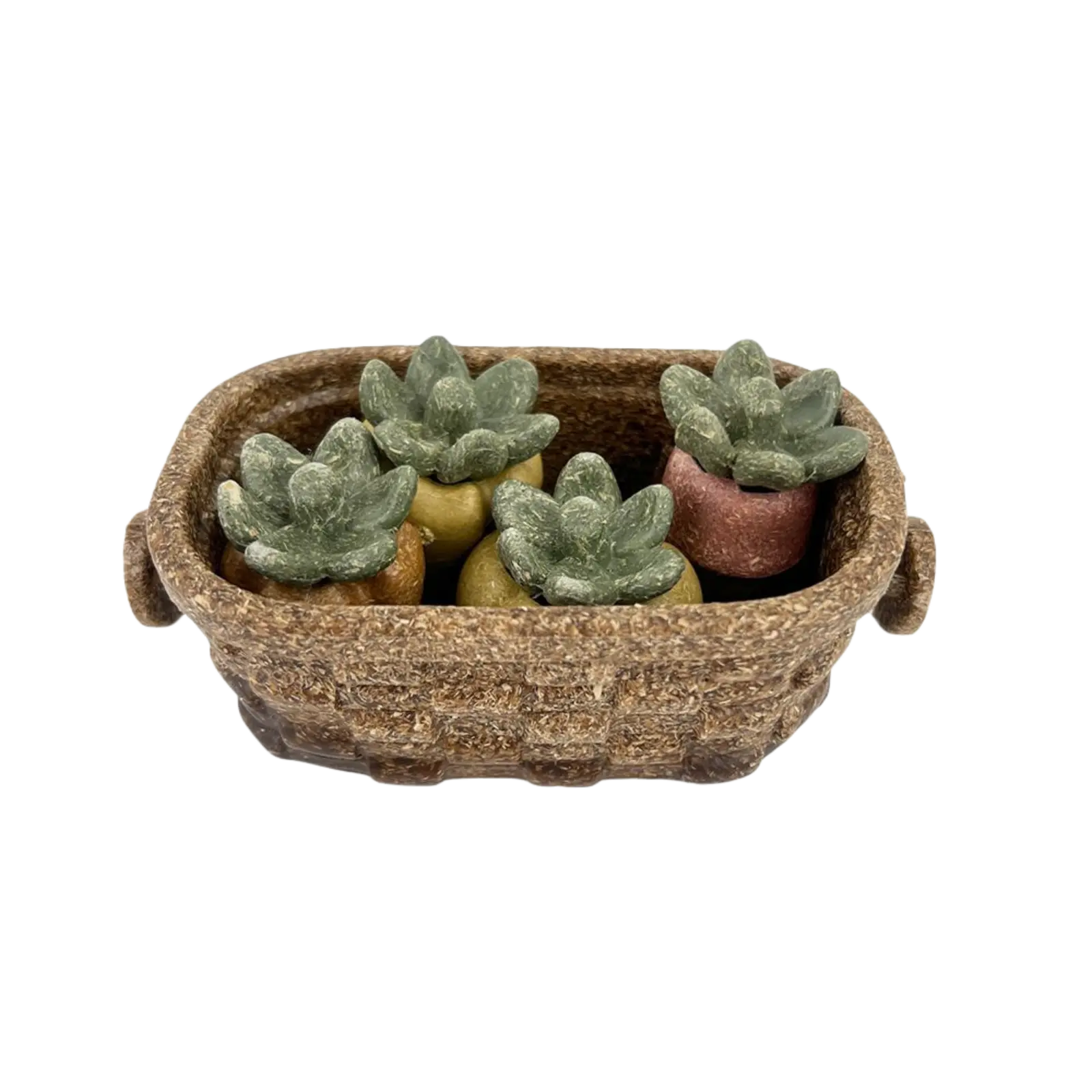 Pipsqueak Forage Delites Edible Garden Harvest Basket PipSqueak