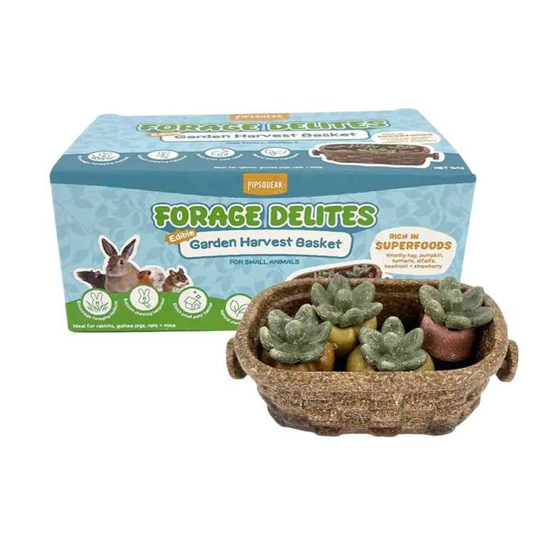 Pipsqueak Forage Delites Edible Garden Harvest Basket PipSqueak