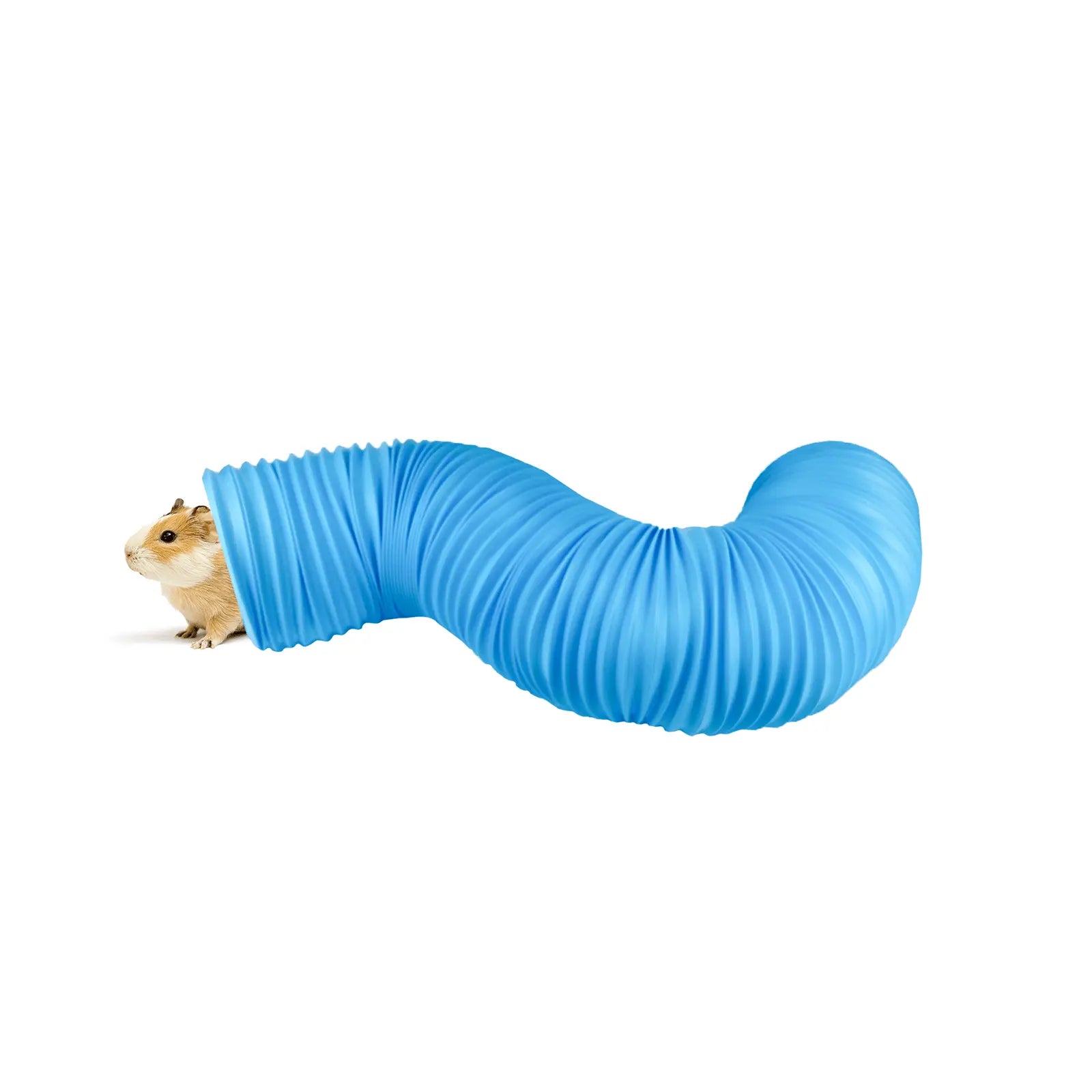 Pipsqueak Tunnel for Small Animals - Kellyville Pets