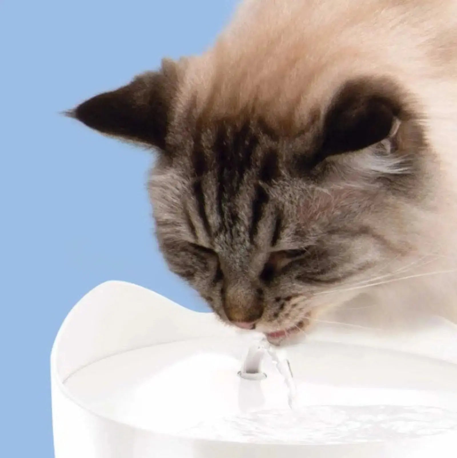 Pixi Cat Water Fountain - Stainless Steel Catit