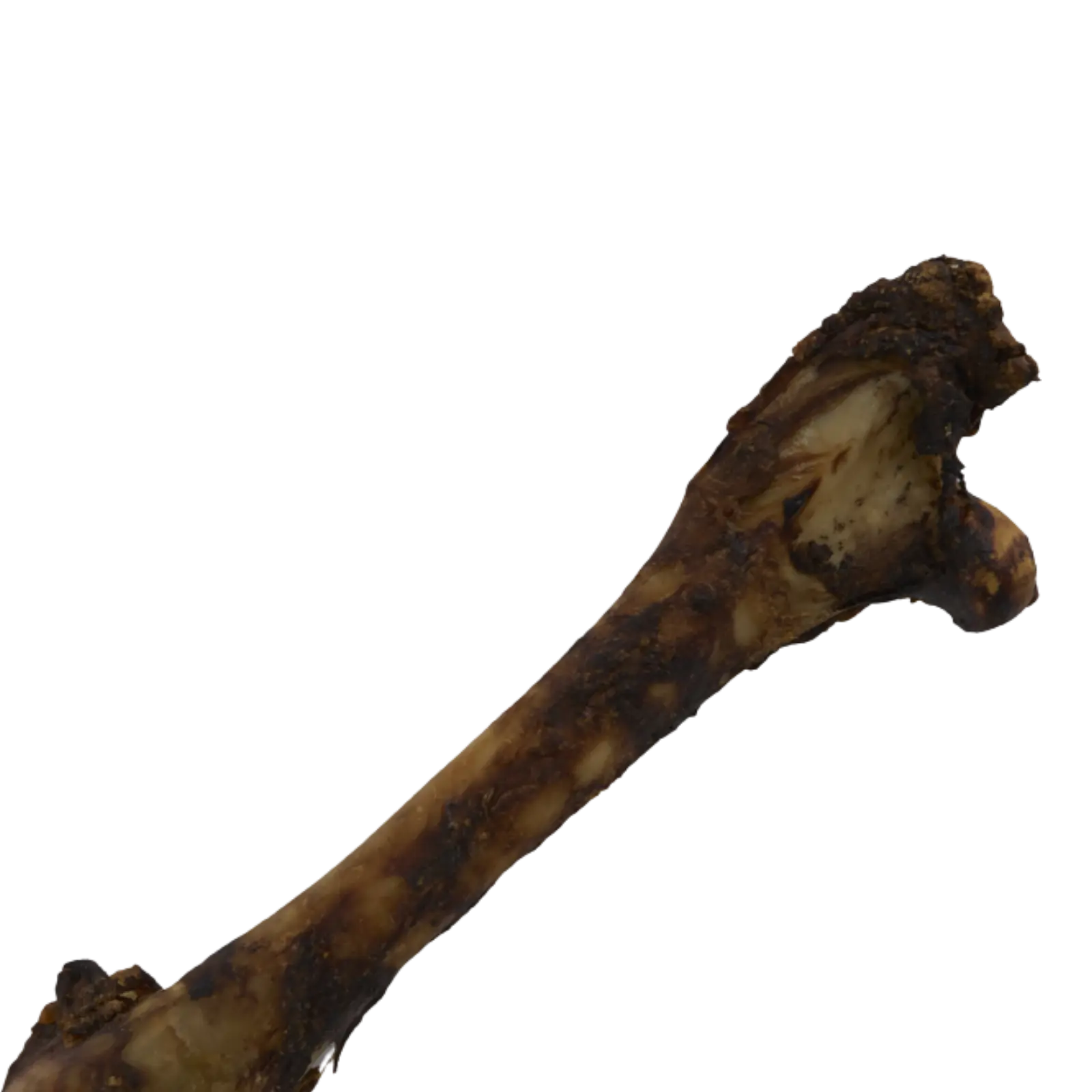 Prime Cuts Kangaroo Shin Bone 1 Pack Prime Cuts