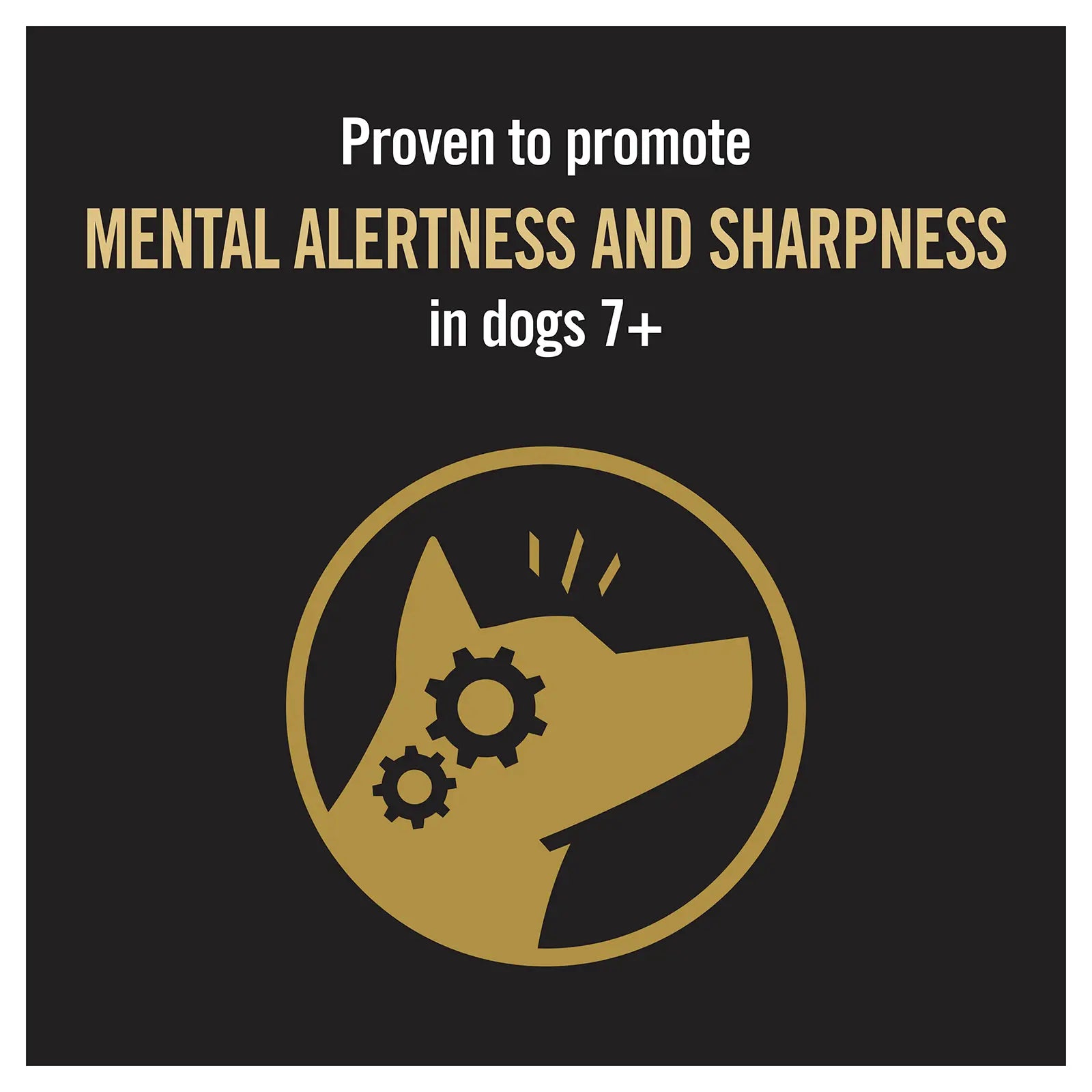 Pro Plan Dog Food Adult 7+ Bright Mind Medium & Large Breed - Kellyville Pets