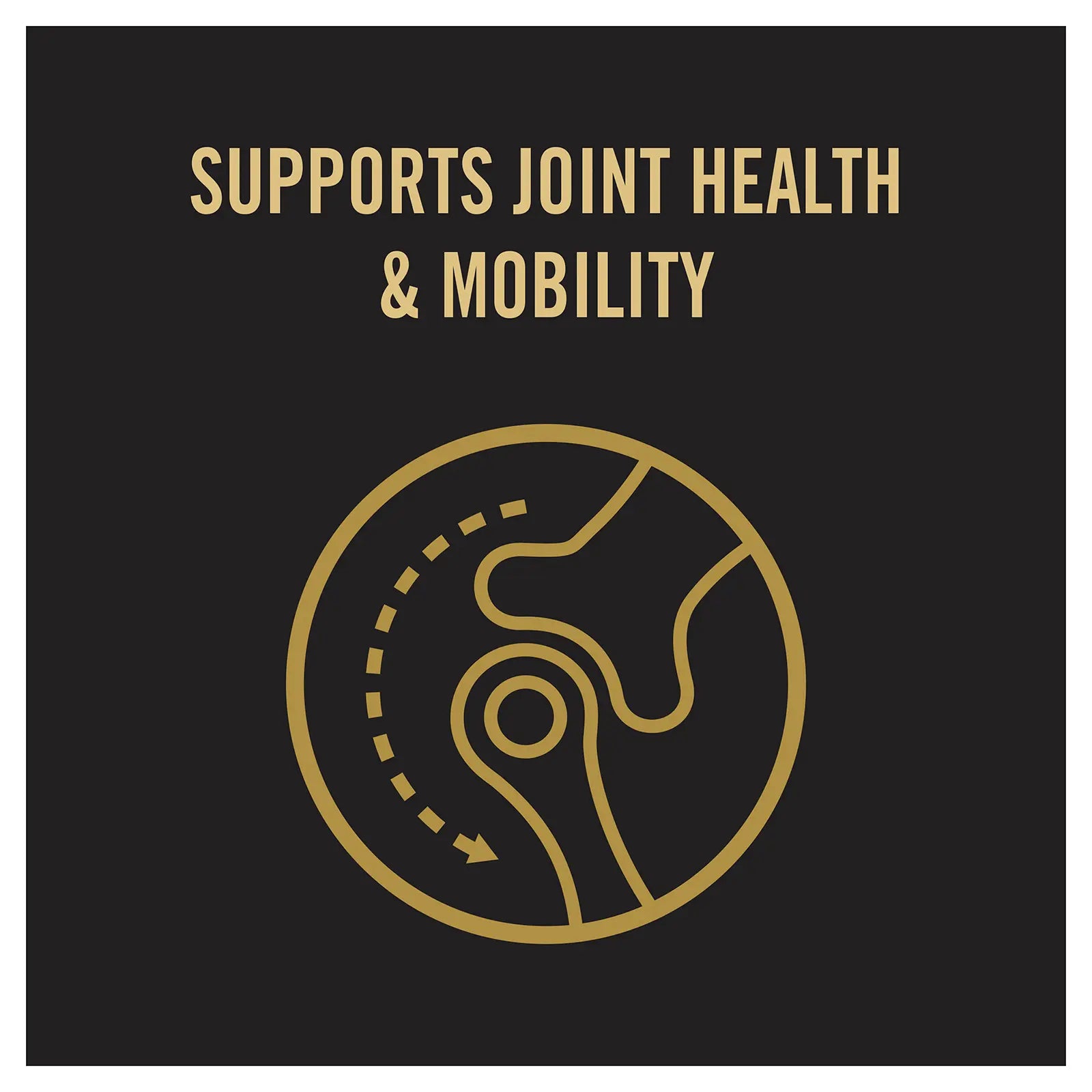 Pro Plan Dog Food Adult 7+ Bright Mind Medium & Large Breed - Kellyville Pets