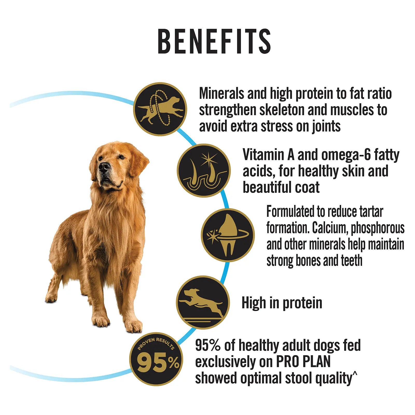 Pro Plan Dog Food Adult Large Breed Chicken - Kellyville Pets