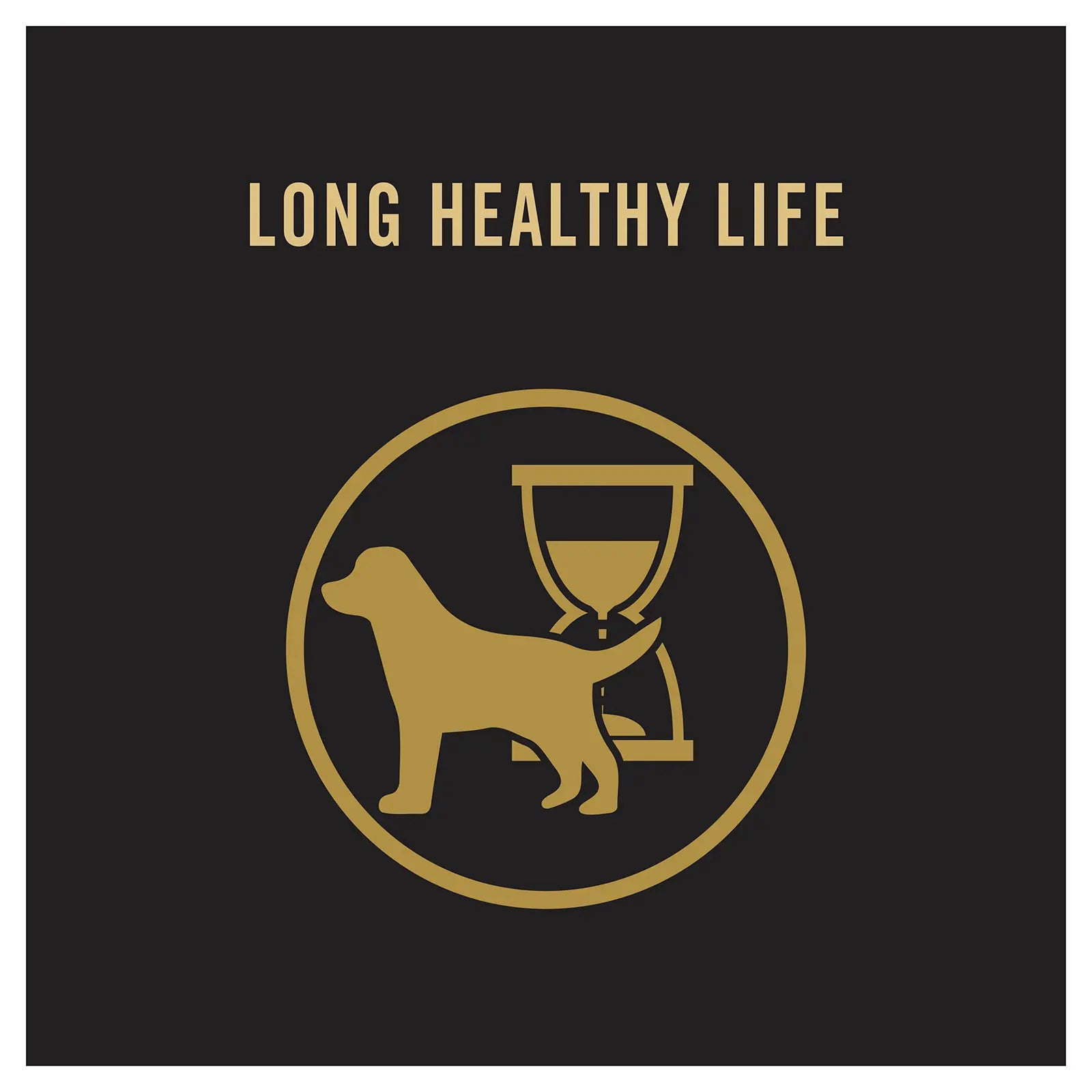 Pro Plan Dog Food Adult Medium Breed Chicken - Kellyville Pets