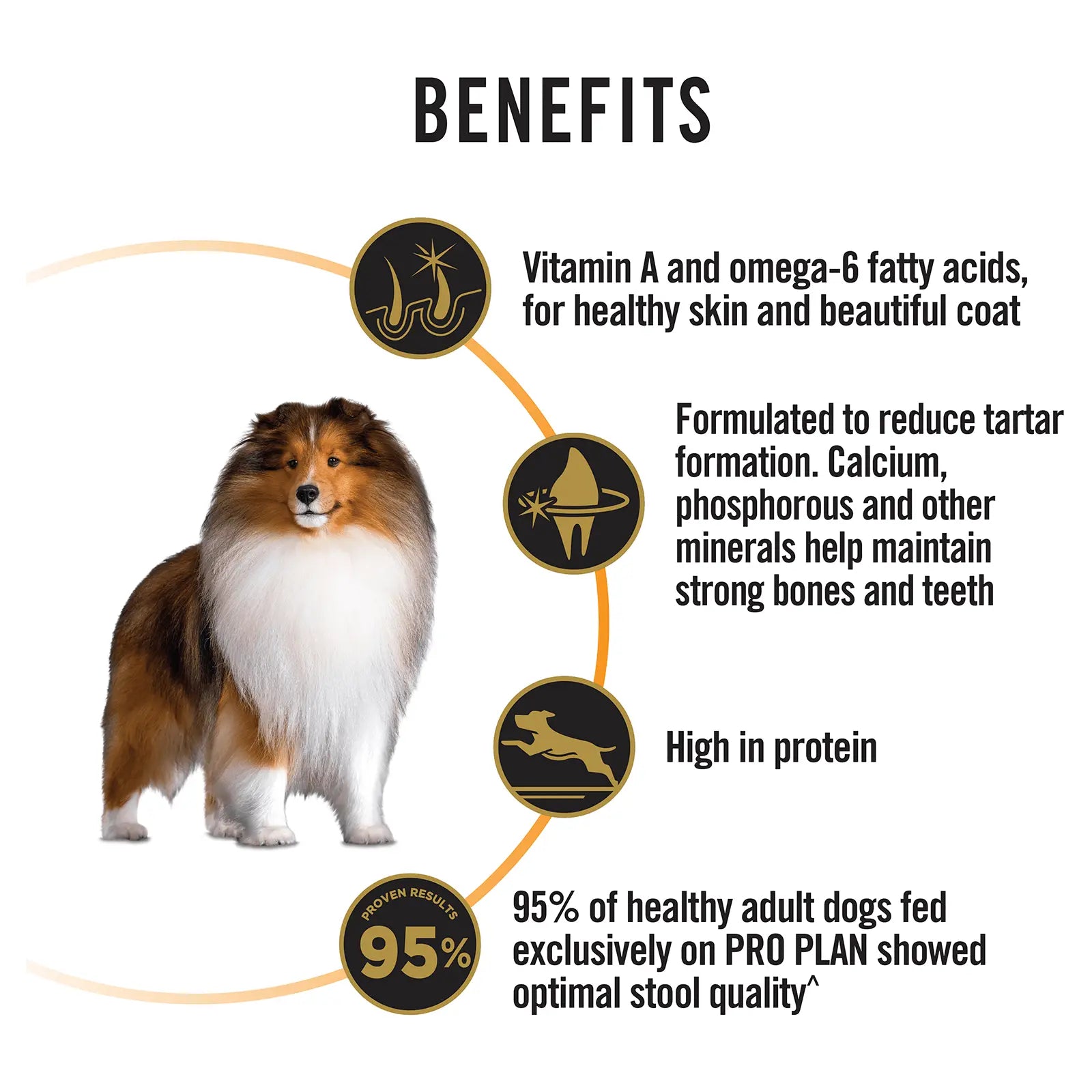 Pro Plan Dog Food Adult Medium Breed Chicken - Kellyville Pets