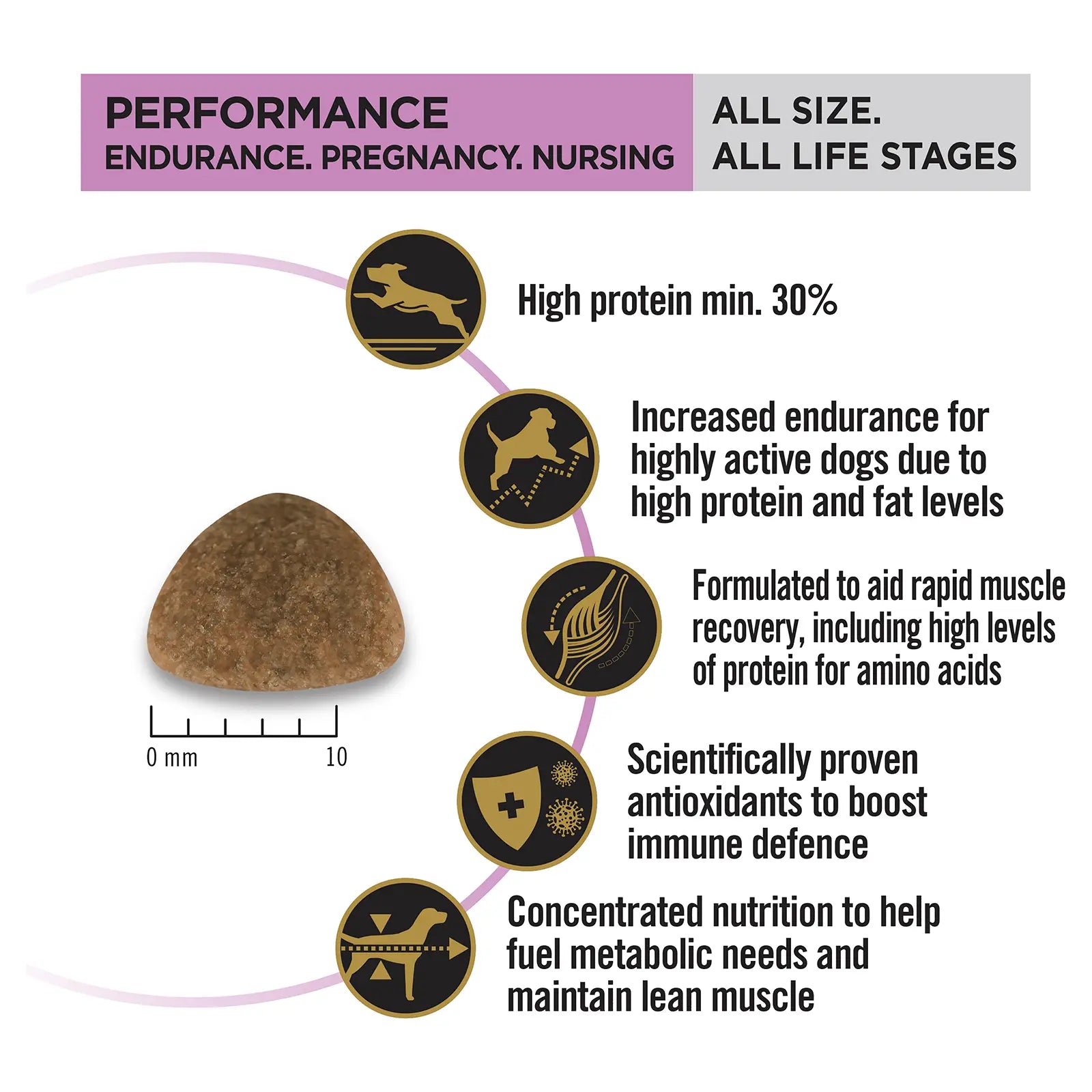 Pro Plan Dog Food Adult Performance Chicken - Kellyville Pets