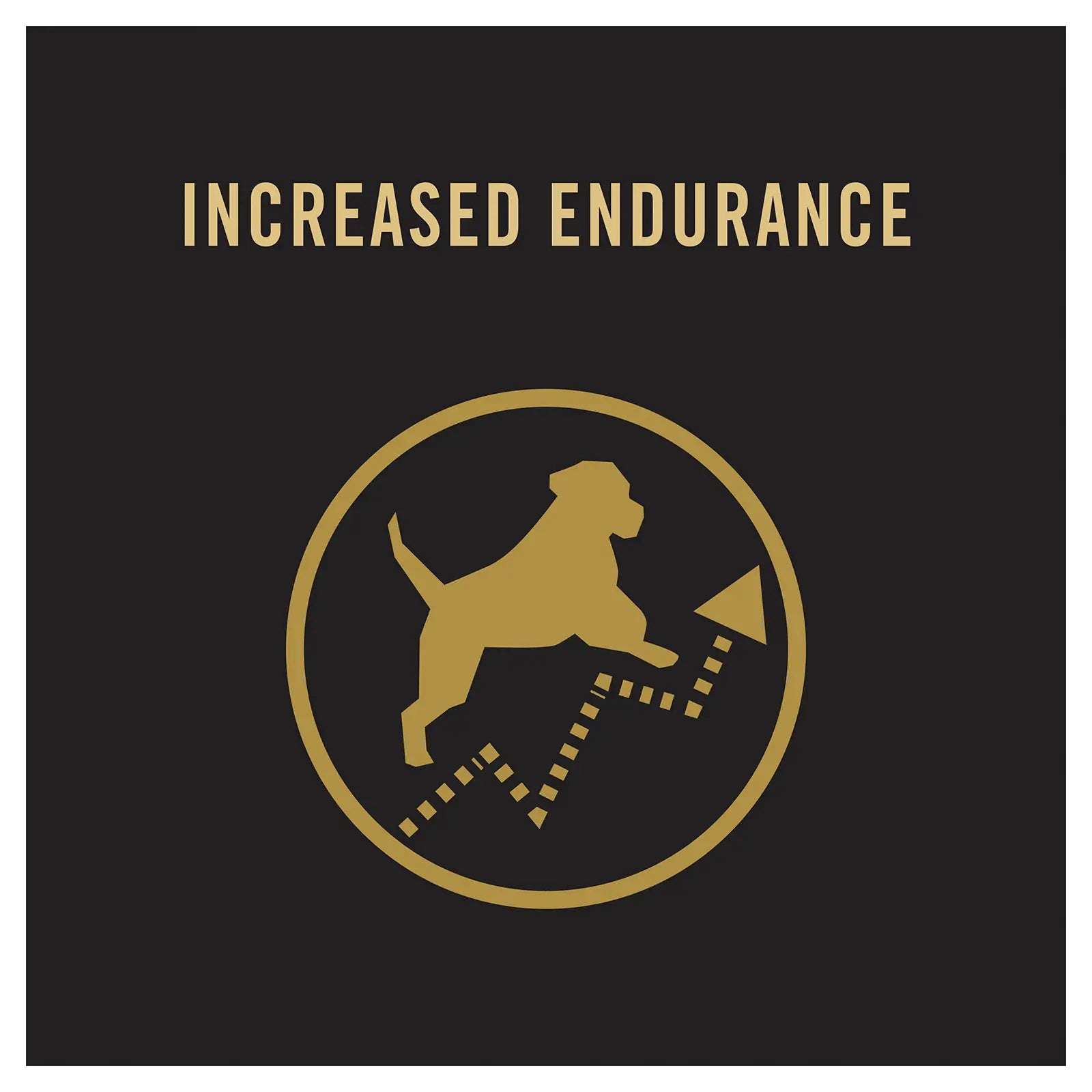 Pro Plan Dog Food Adult Performance Chicken - Kellyville Pets