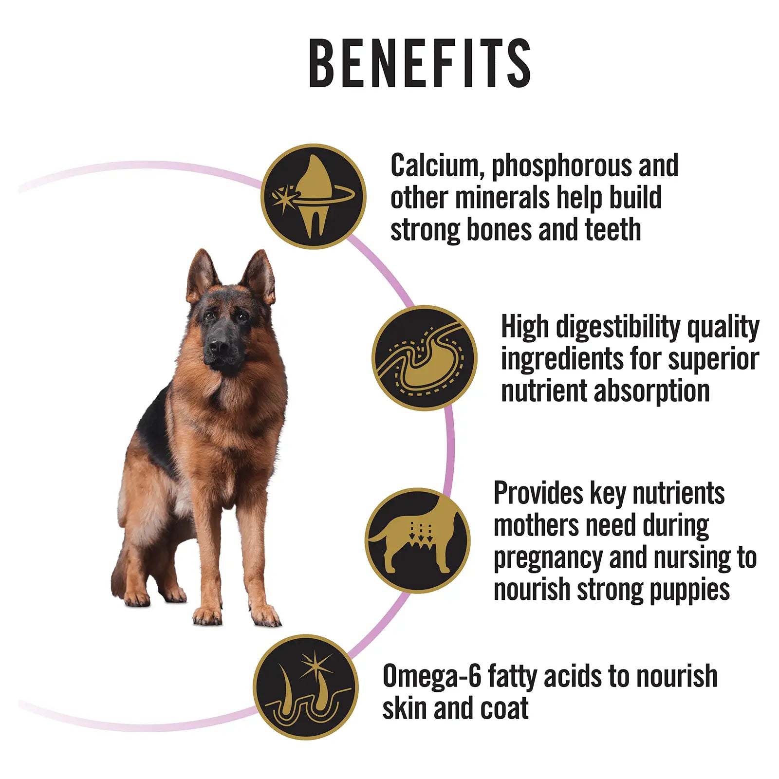 Pro Plan Dog Food Adult Performance Chicken - Kellyville Pets