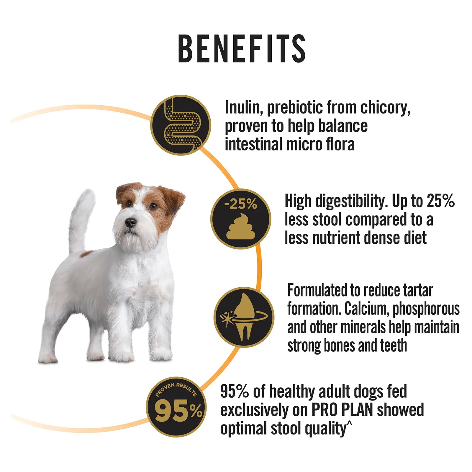 Pro Plan Dog Food Adult Small & Toy Breed Chicken - Kellyville Pets