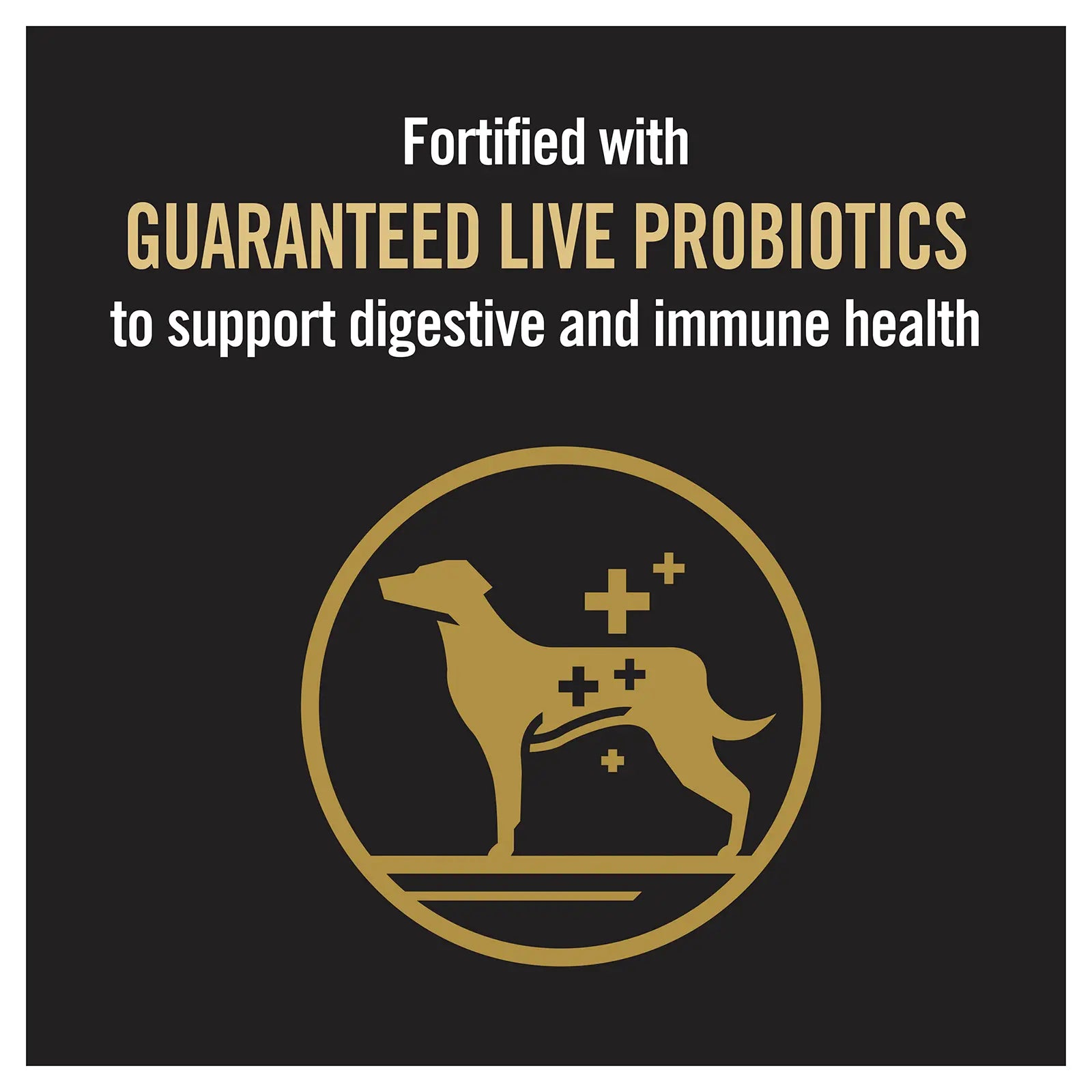 Pro Plan Dog Food Puppy Large Breed Chicken - Kellyville Pets