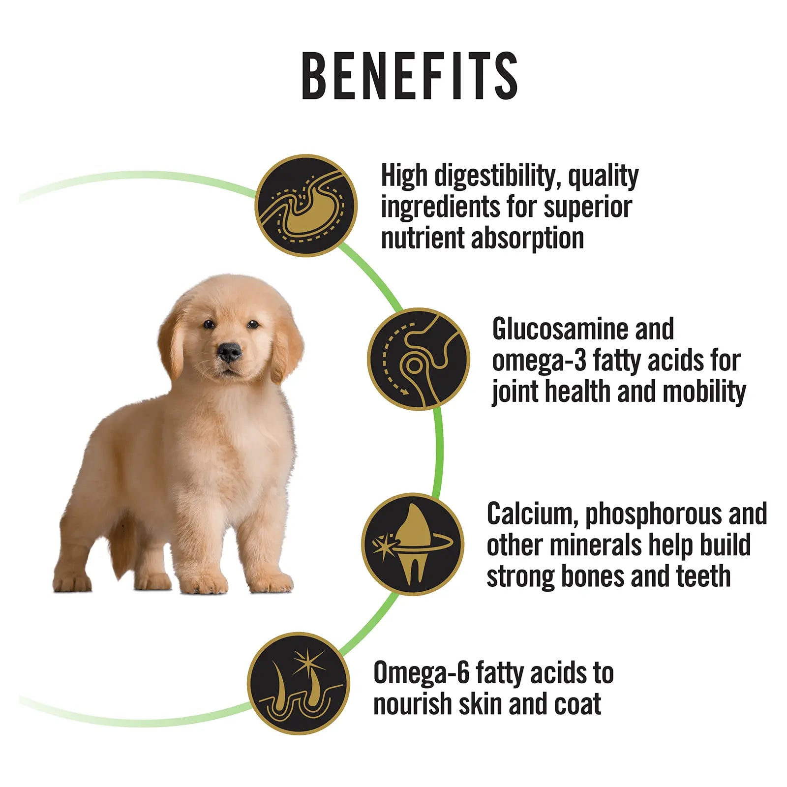 Pro Plan Dog Food Puppy Large Breed Chicken - Kellyville Pets