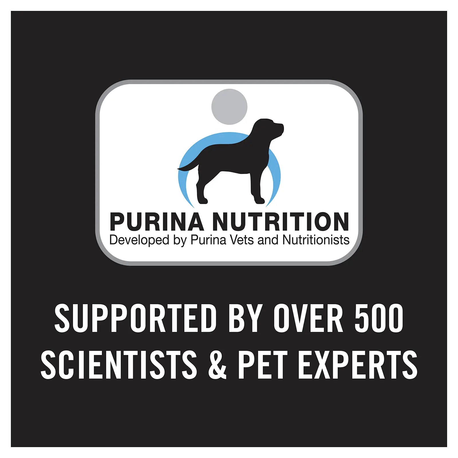 Pro Plan Dog Food Puppy Large Breed Chicken - Kellyville Pets