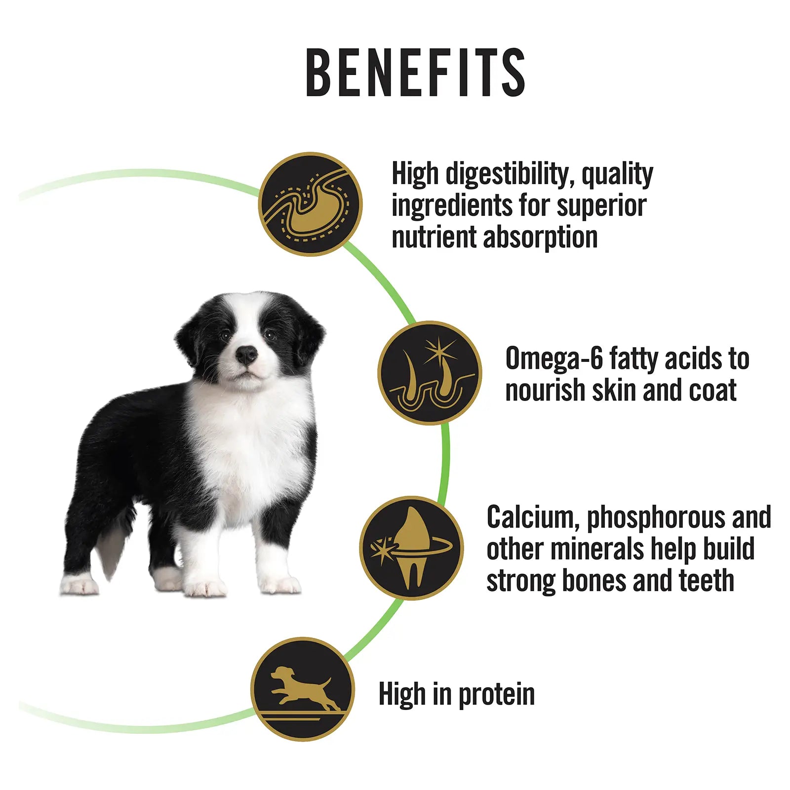 Pro Plan Dog Food Puppy Medium Breed Chicken - Kellyville Pets