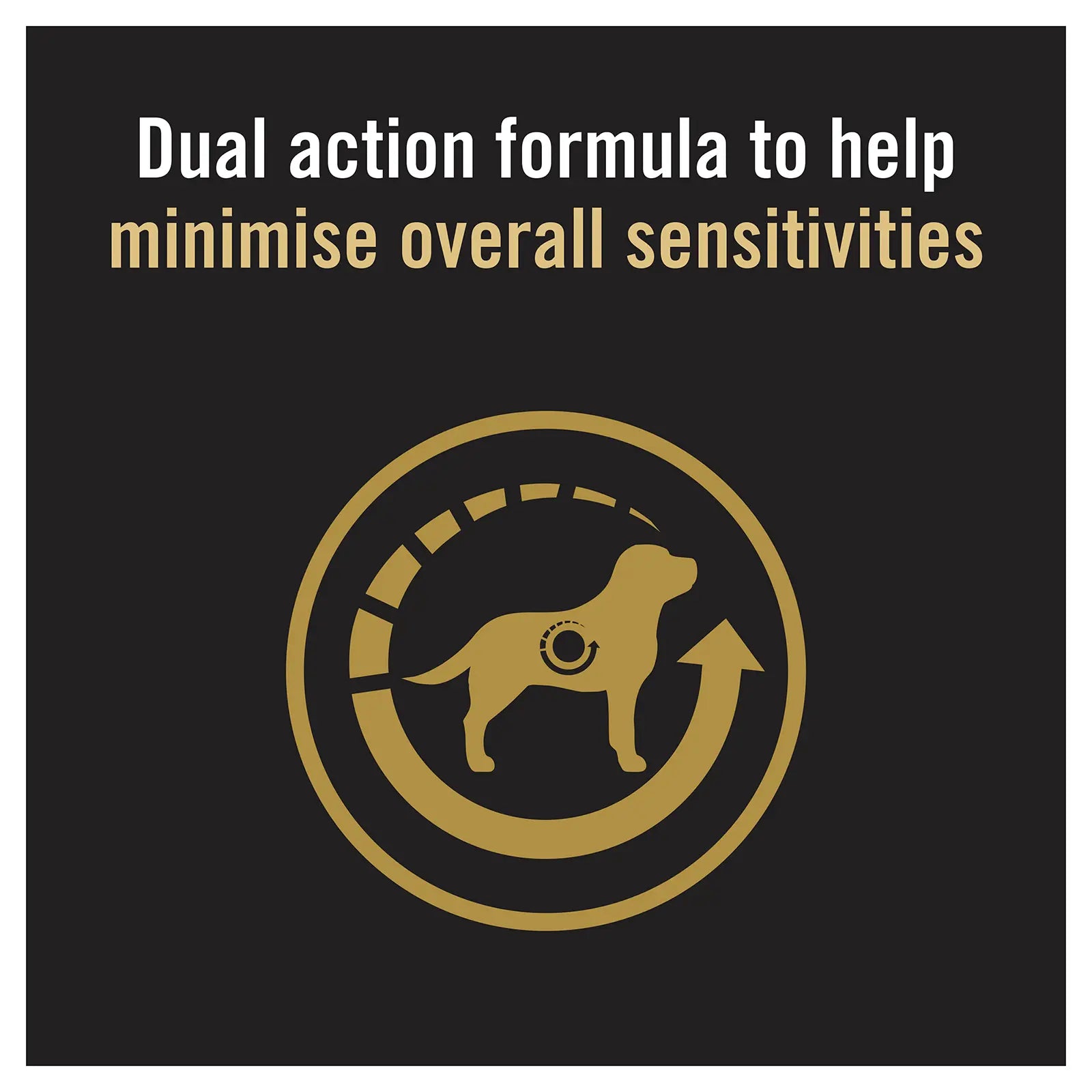 Pro Plan Dog Food Sensitive Skin & Stomach Small & Toy Breed - Kellyville Pets