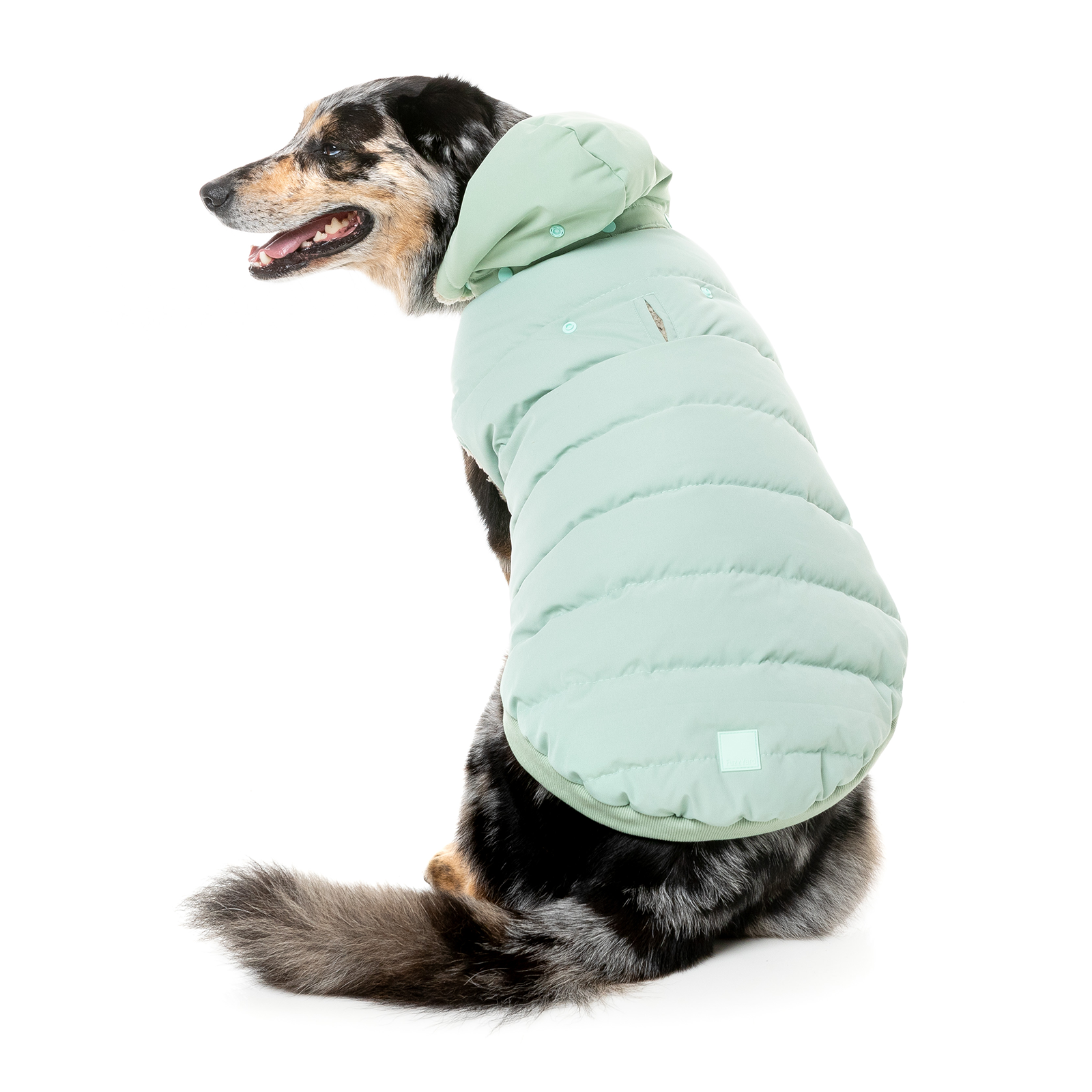 FuzzYard Dog Coat Essential Puffer Jacket