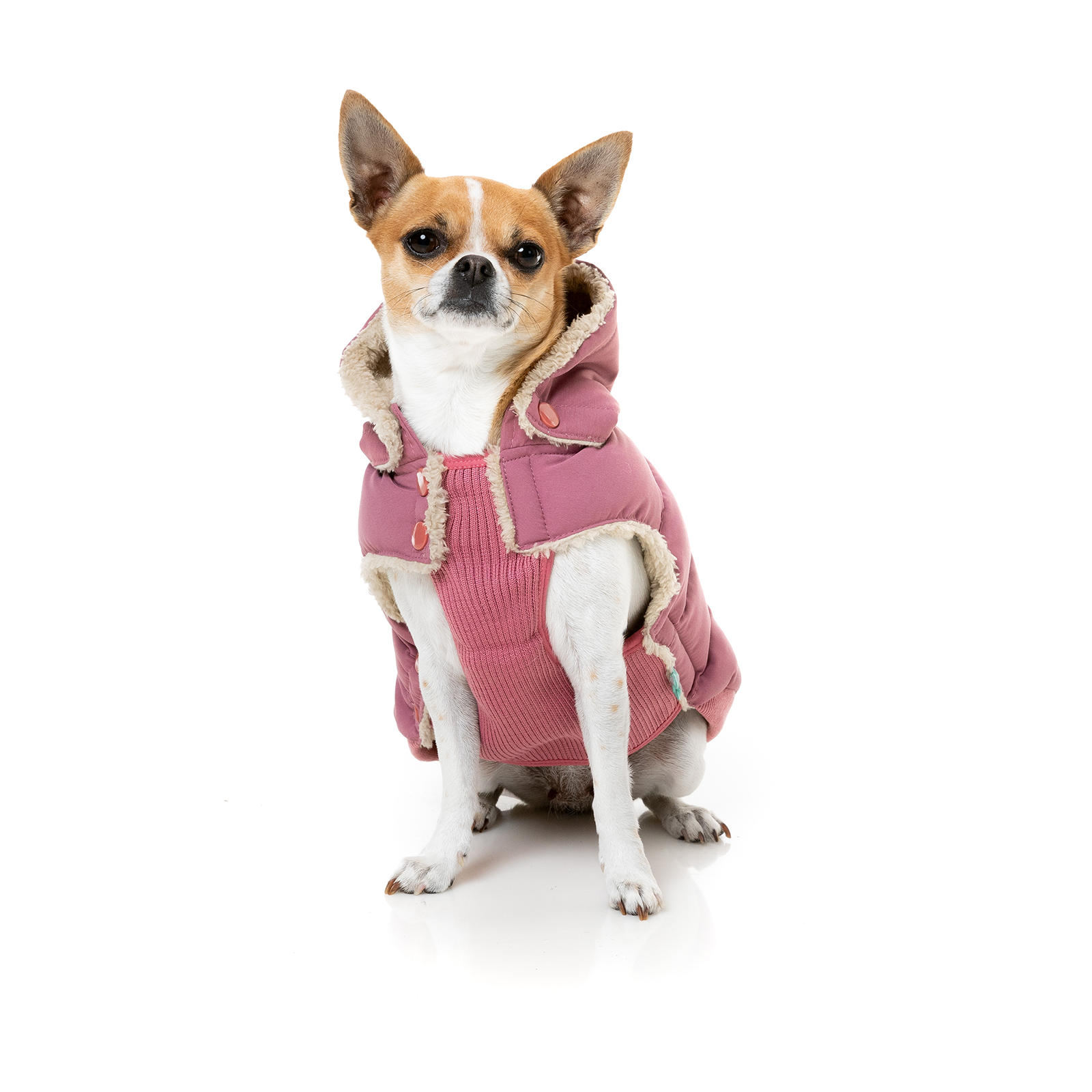 FuzzYard Dog Coat Essential Puffer Jacket