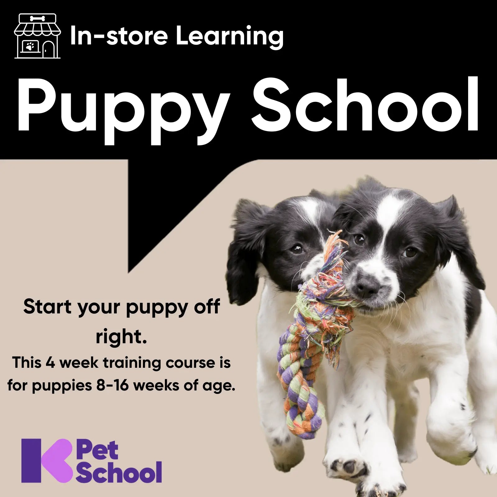 Puppy Preschool - Kellyville Pets