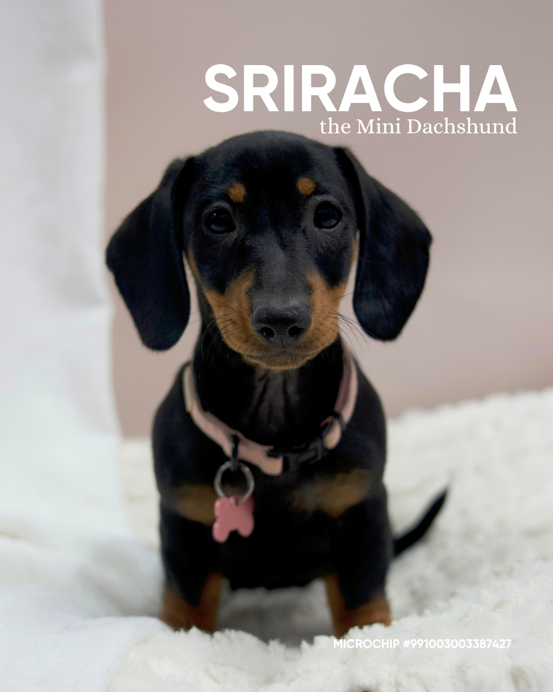 Sriracha