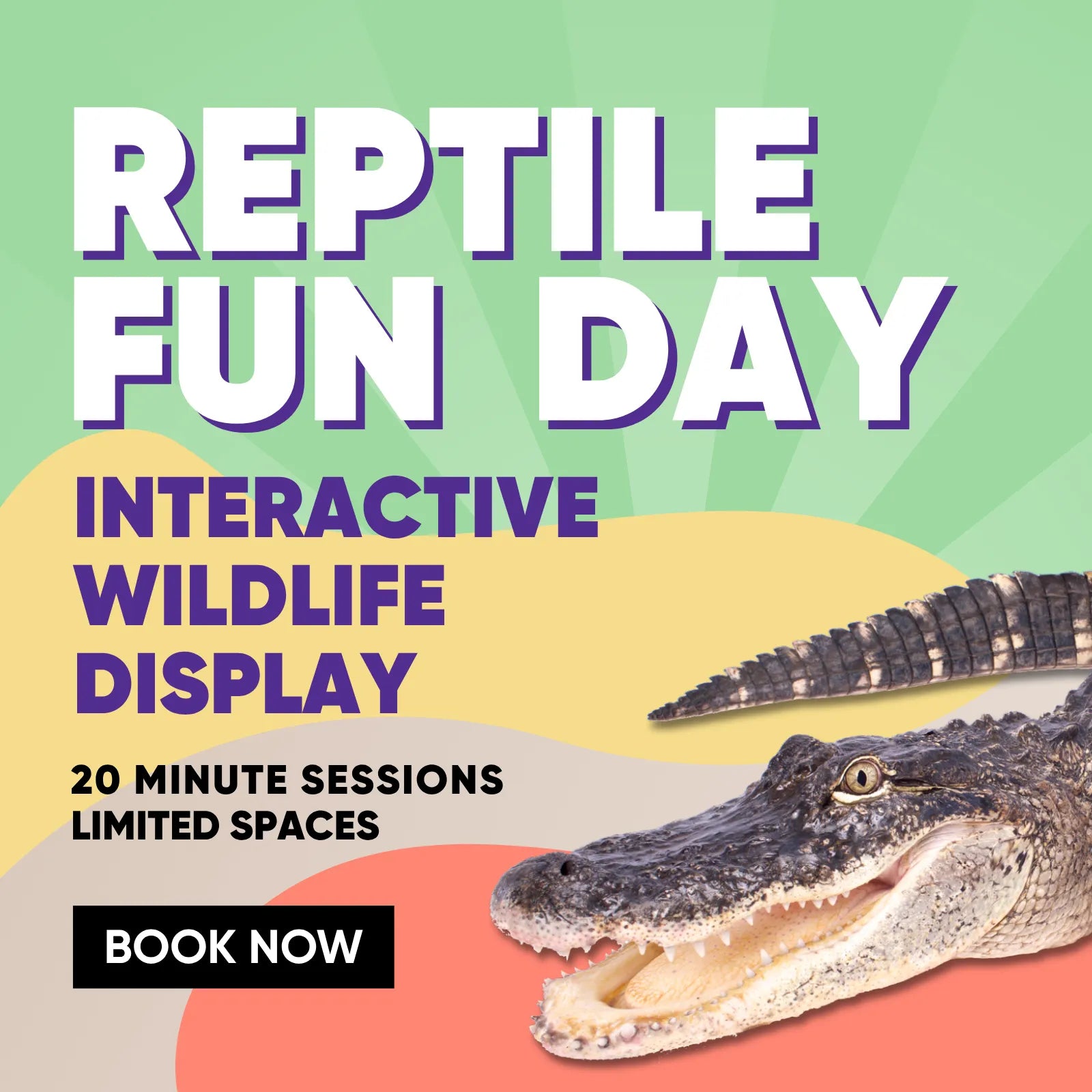 Interactive Wildlife Display Entry 2026