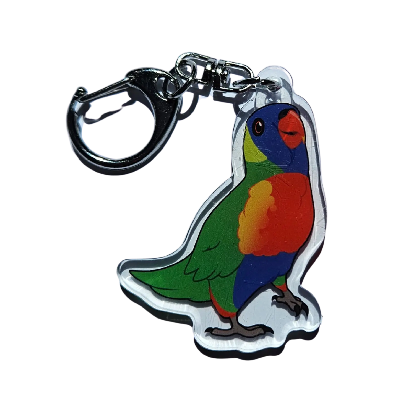 Rainbow Lorikeet Acrylic Keychain Hecko Gecko