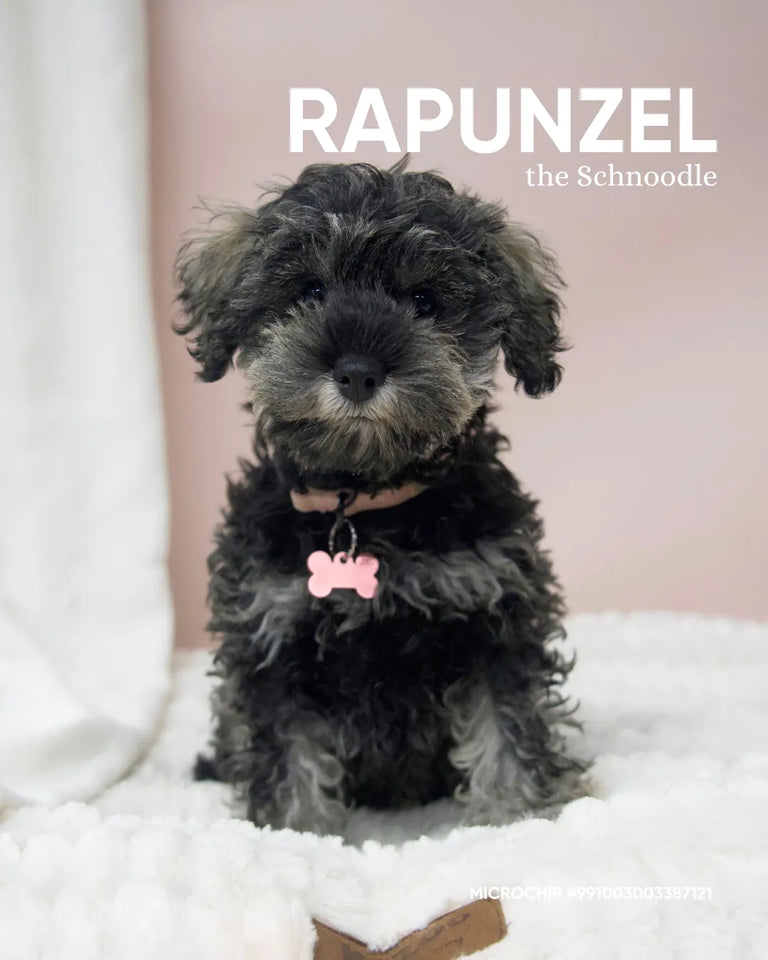 Rapunzel