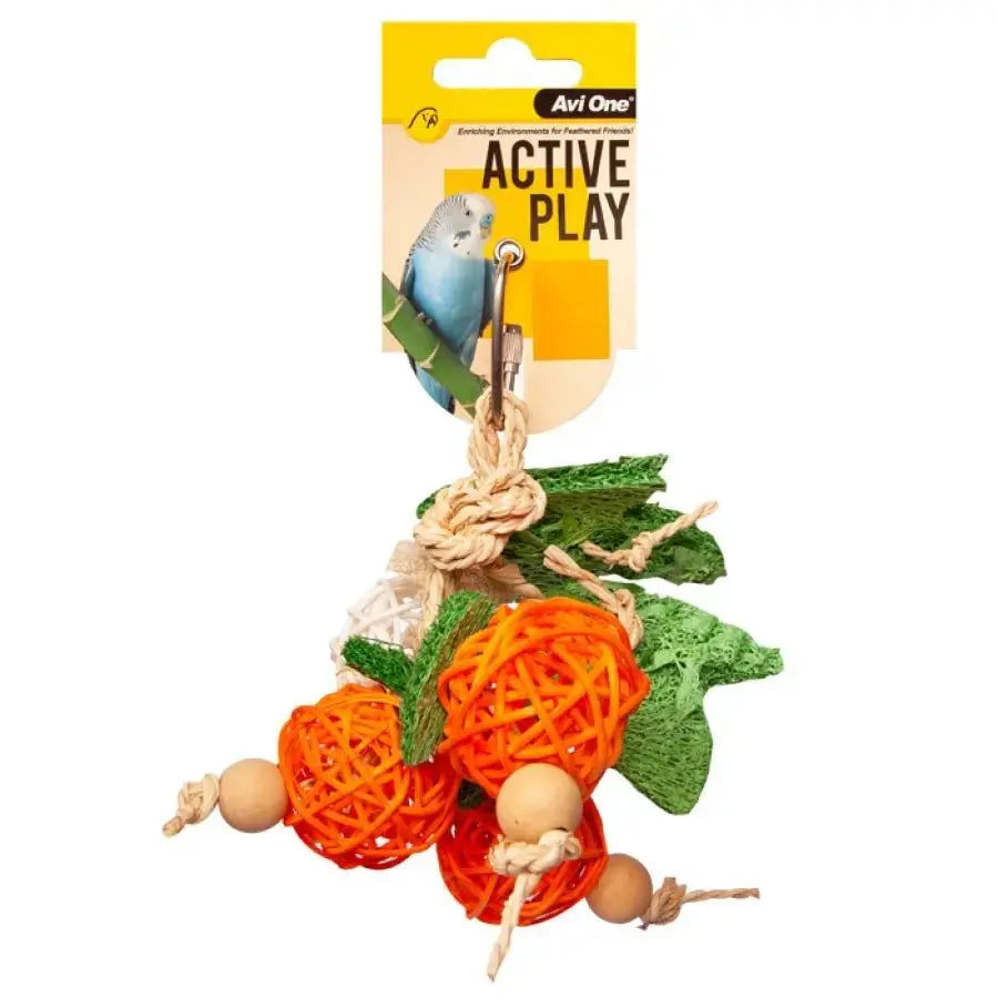 Rattan Balls with Leaf Loofa Bird Toy Avi One