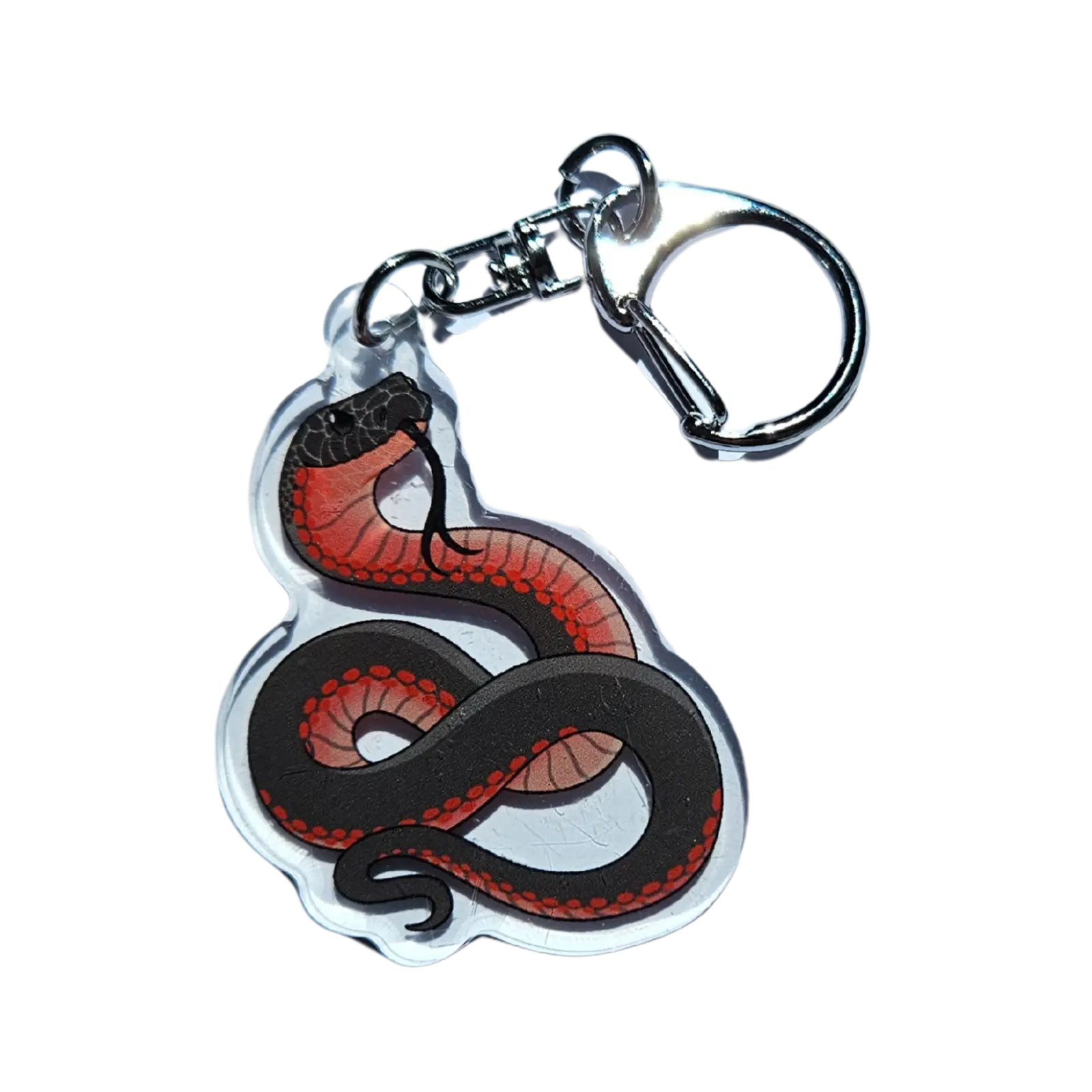 Red Bellied Black Snake Acrylic Keychain Hecko Gecko