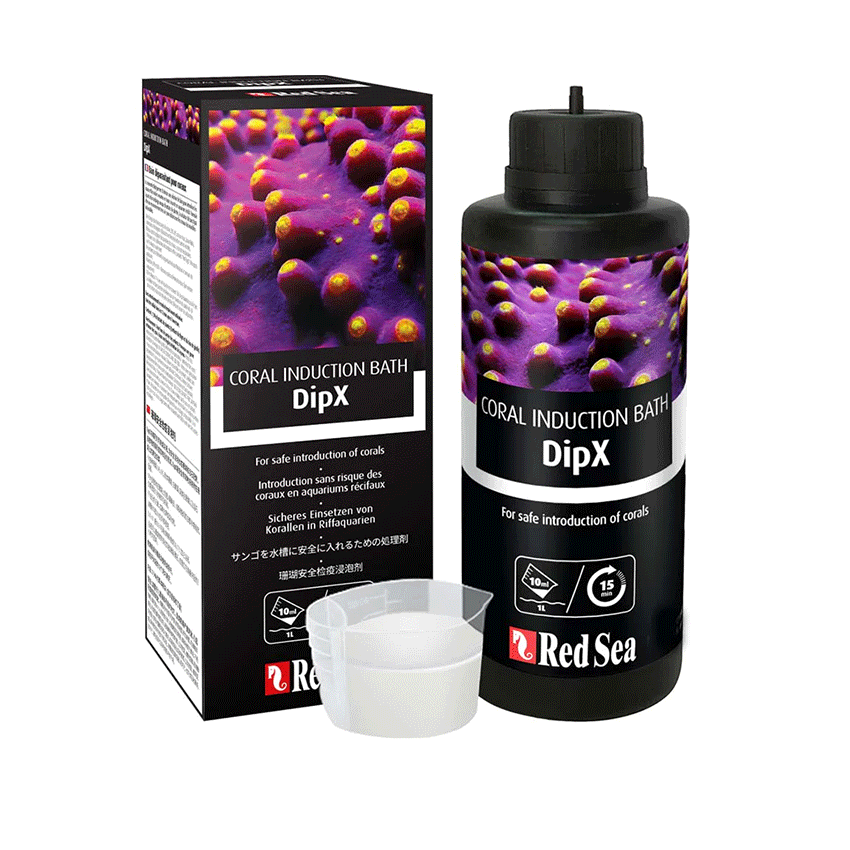 Red Sea DipX Red Sea