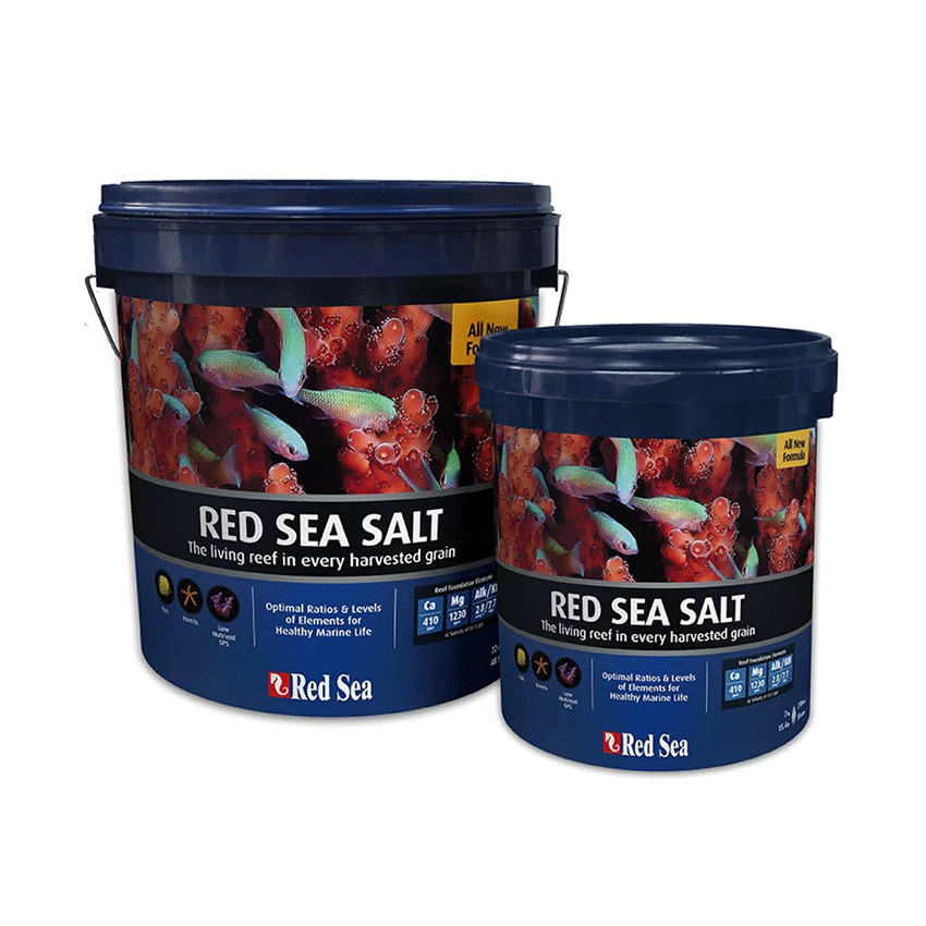Red Sea Salt Red Sea