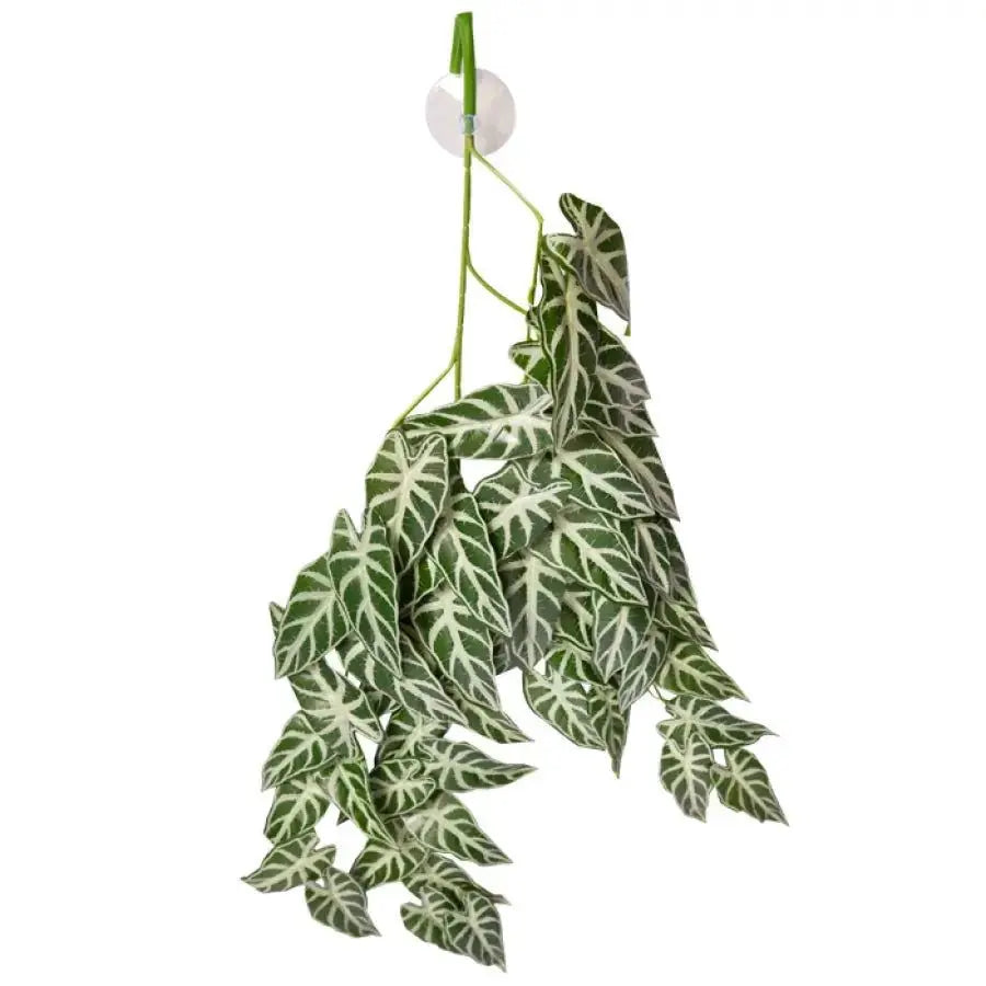 Reptile One Artificial Green Alocasia with Suction Cup Reptile One