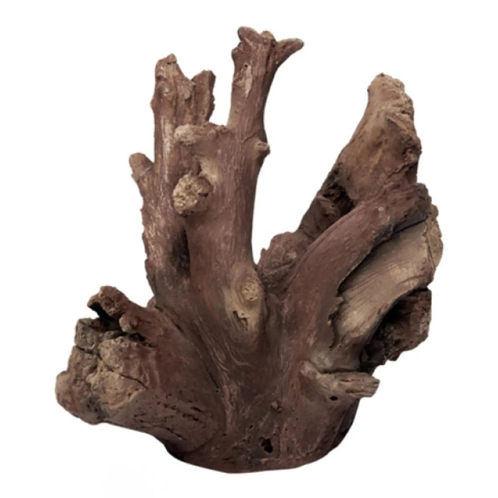 Reptile One CopiLog Basking Mangrove Stump Reptile One