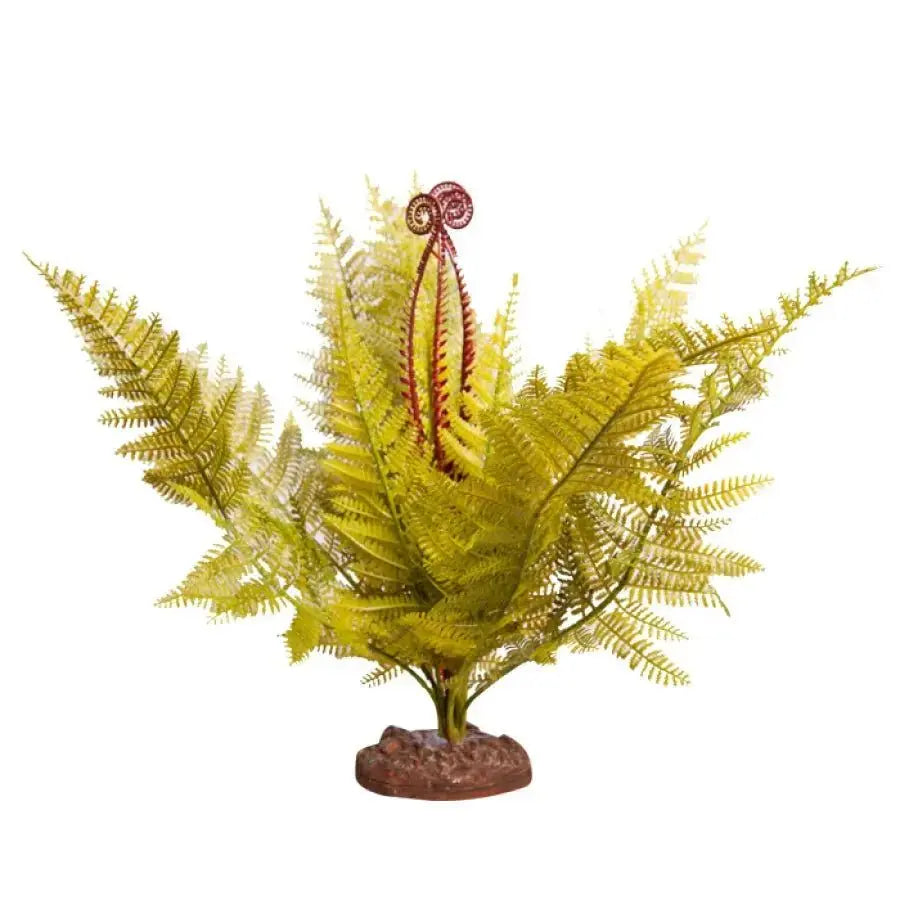 Reptile One Green Eagle Fern with Base Reptile One