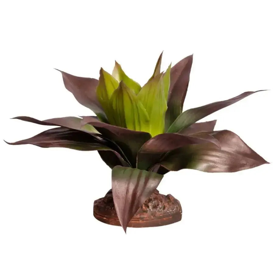 Reptile One Green Spathacea with Base Reptile One
