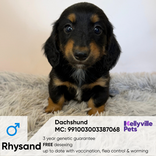 Rhysand