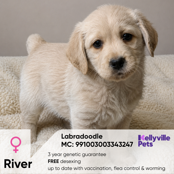 River