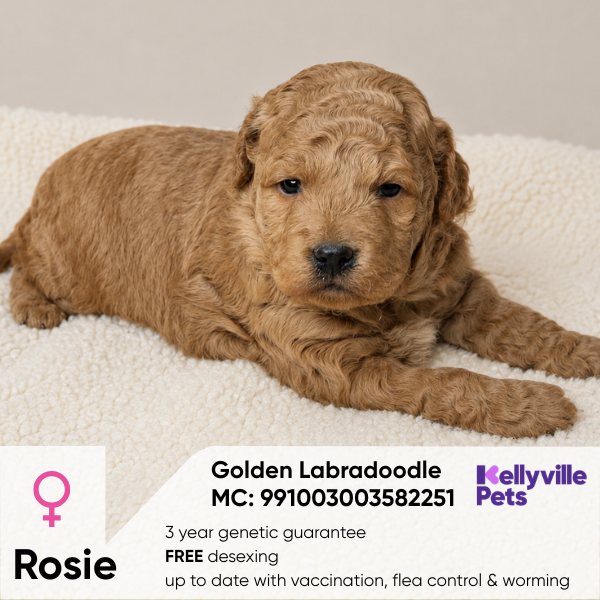 Rosie