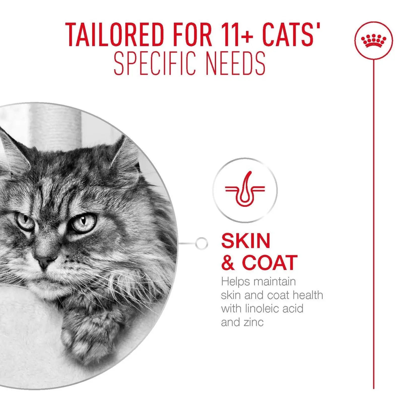Royal Canin Cat Food Ageing 11+ - 2kg Royal Canin