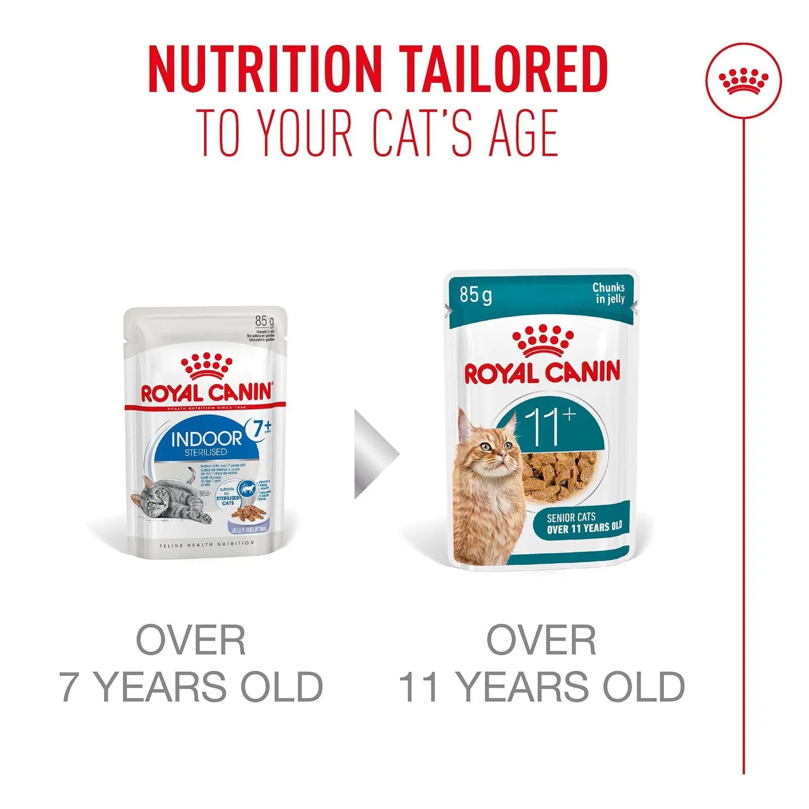 Royal Canin Cat Food Pouch Ageing 11+ Jelly - 85g x 12 Royal Canin