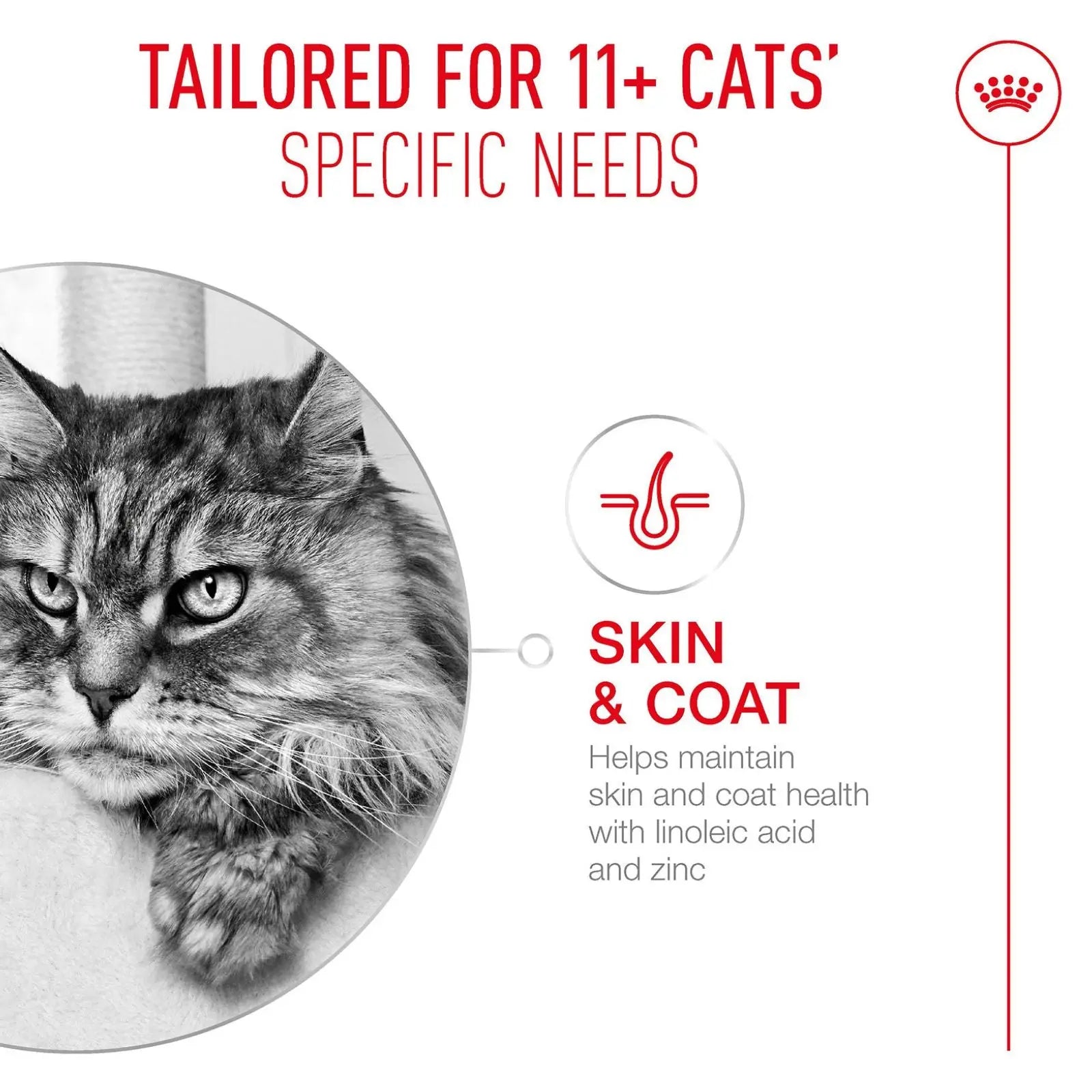 Royal Canin Cat Food Pouch Ageing 11+ Jelly - 85g x 12 Royal Canin