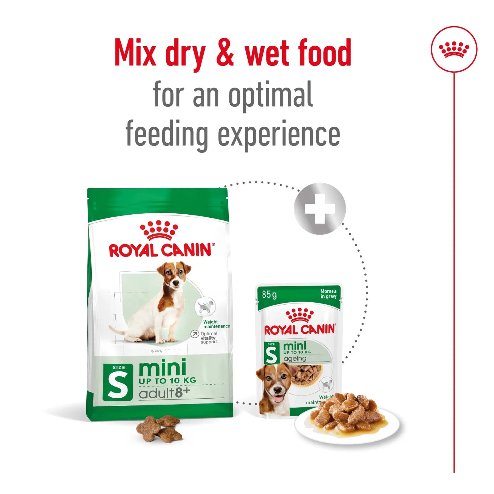 Royal Canin Dog Food Adult 8+ Mini Royal Canin