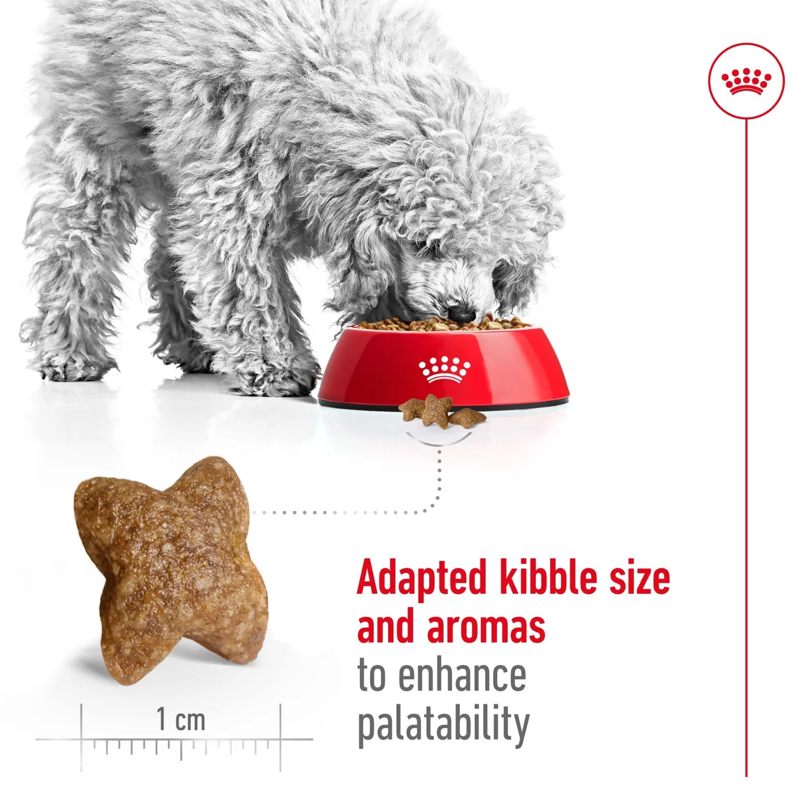 Royal Canin Dog Food Adult Mini Royal Canin