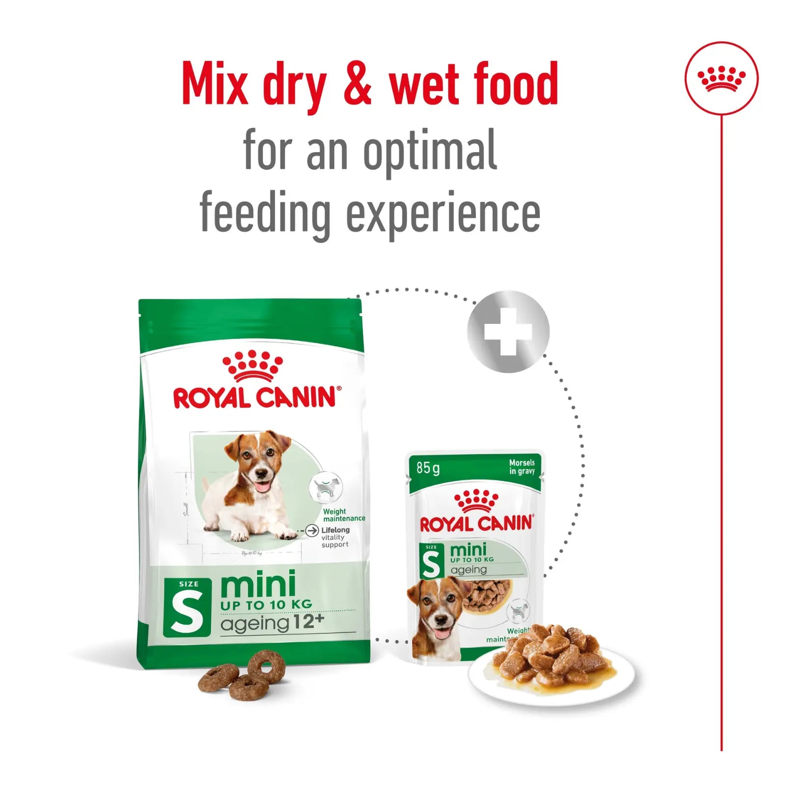 Royal Canin Dog Food Ageing 12+ Mini Royal Canin